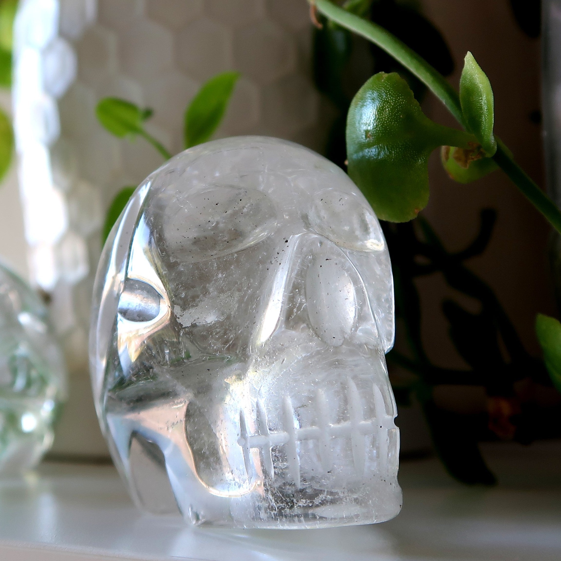 Crâne en quartz clair Secrets Grand au-delà Cristal