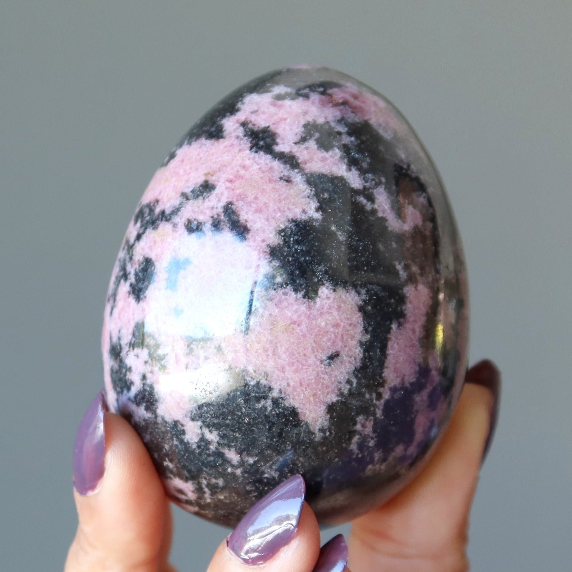 Œuf de rhodonite, cristaux nourrissants roses et noirs en dentelles de l'amour