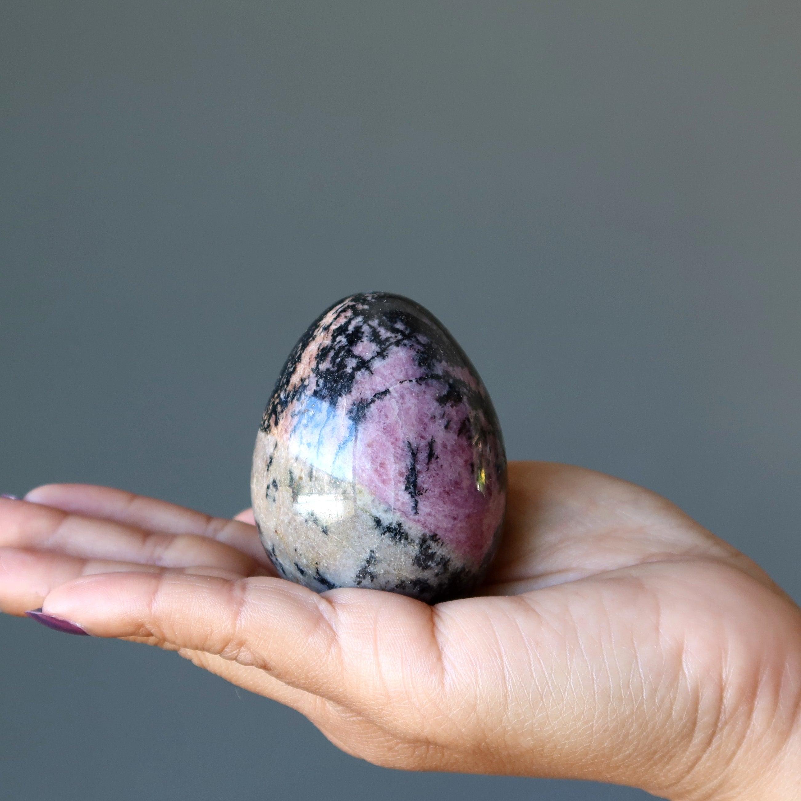 Œuf de rhodonite, cristaux nourrissants roses et noirs en dentelles de l'amour