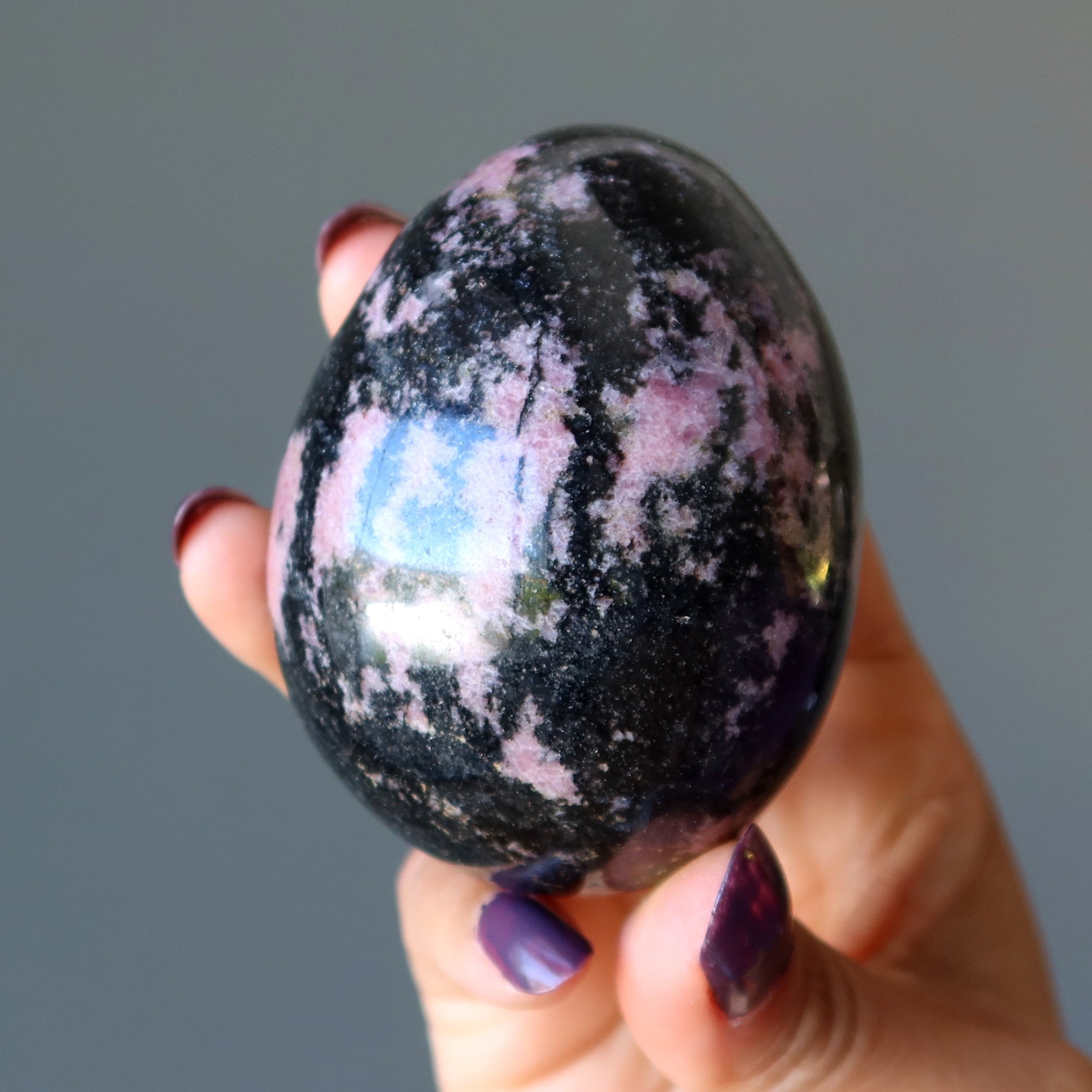 Œuf de rhodonite, cristaux nourrissants roses et noirs en dentelles de l'amour