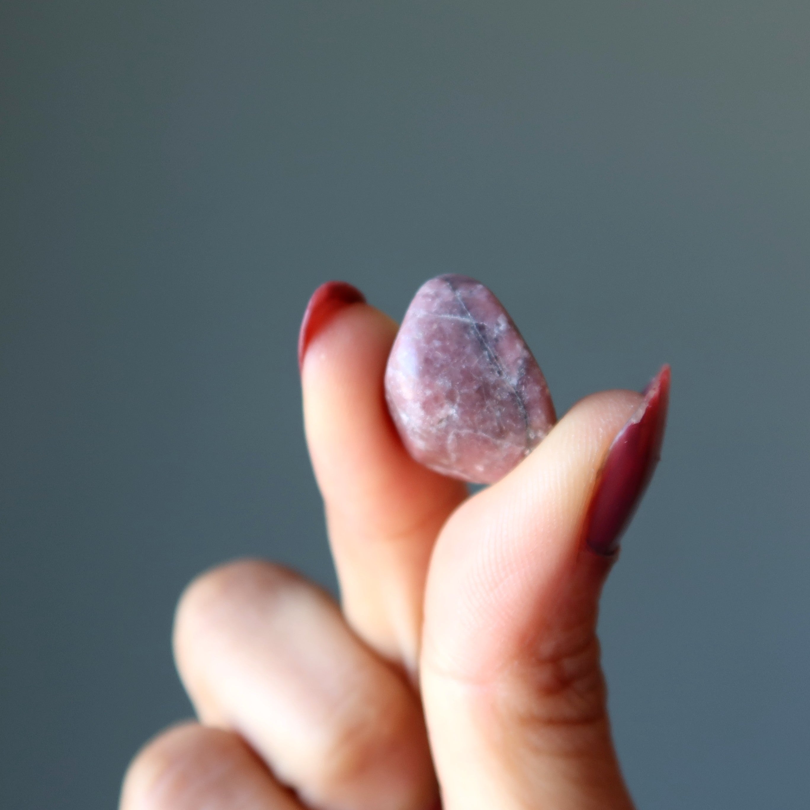Rhodonite Tumbled Stone Black Pink Love Crystal