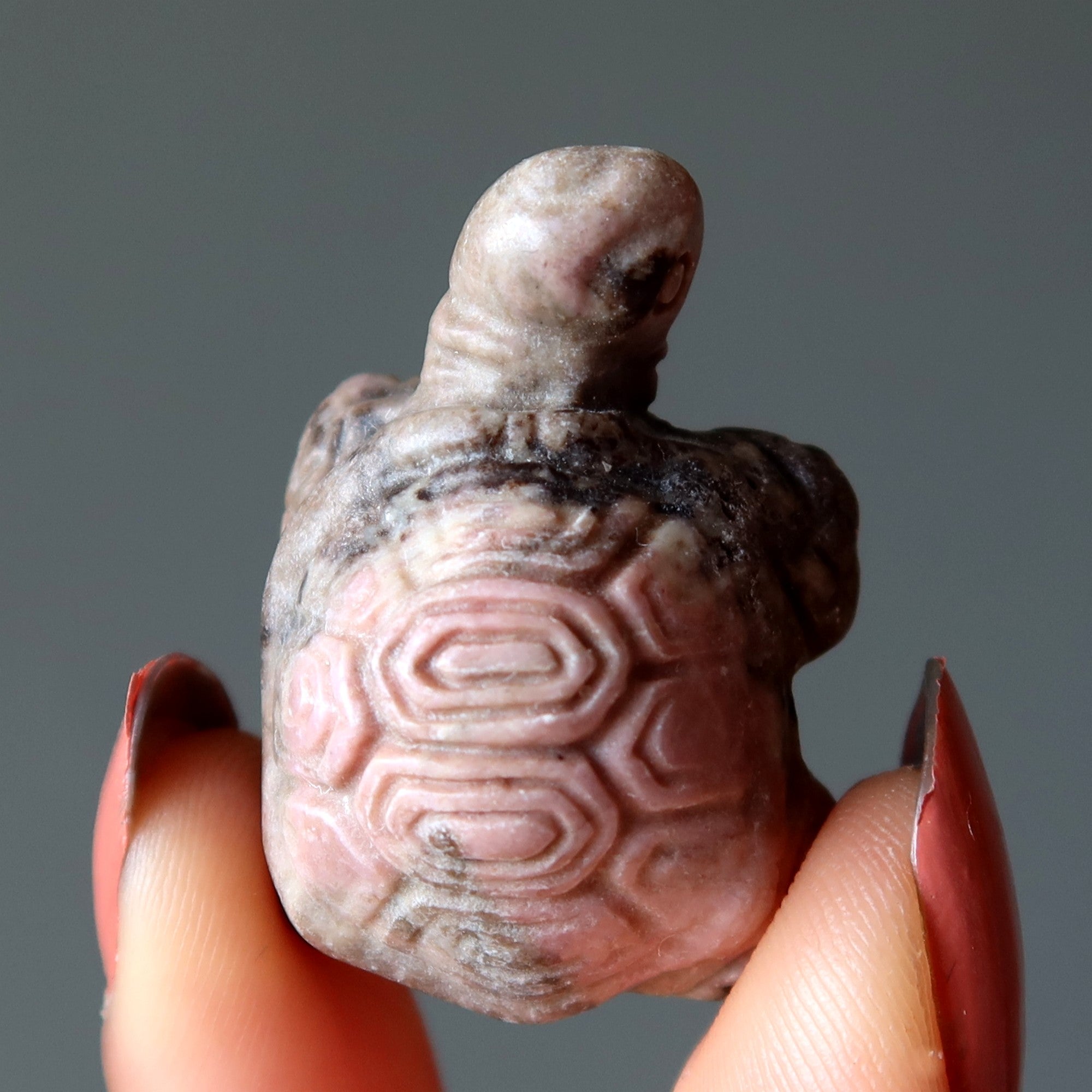 Rhodonite Tortue Amour Amitié Animal