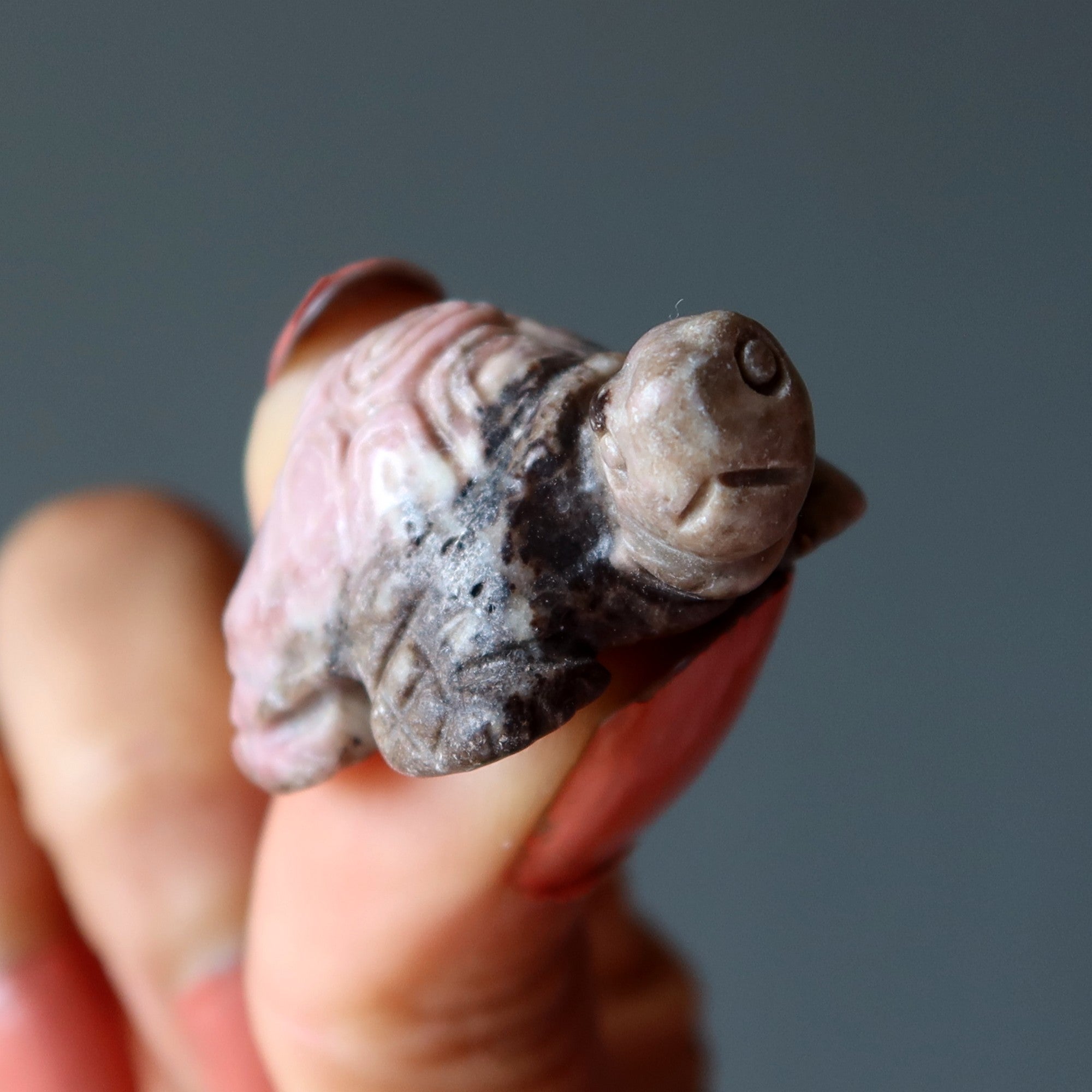 Rhodonite Tortue Amour Amitié Animal