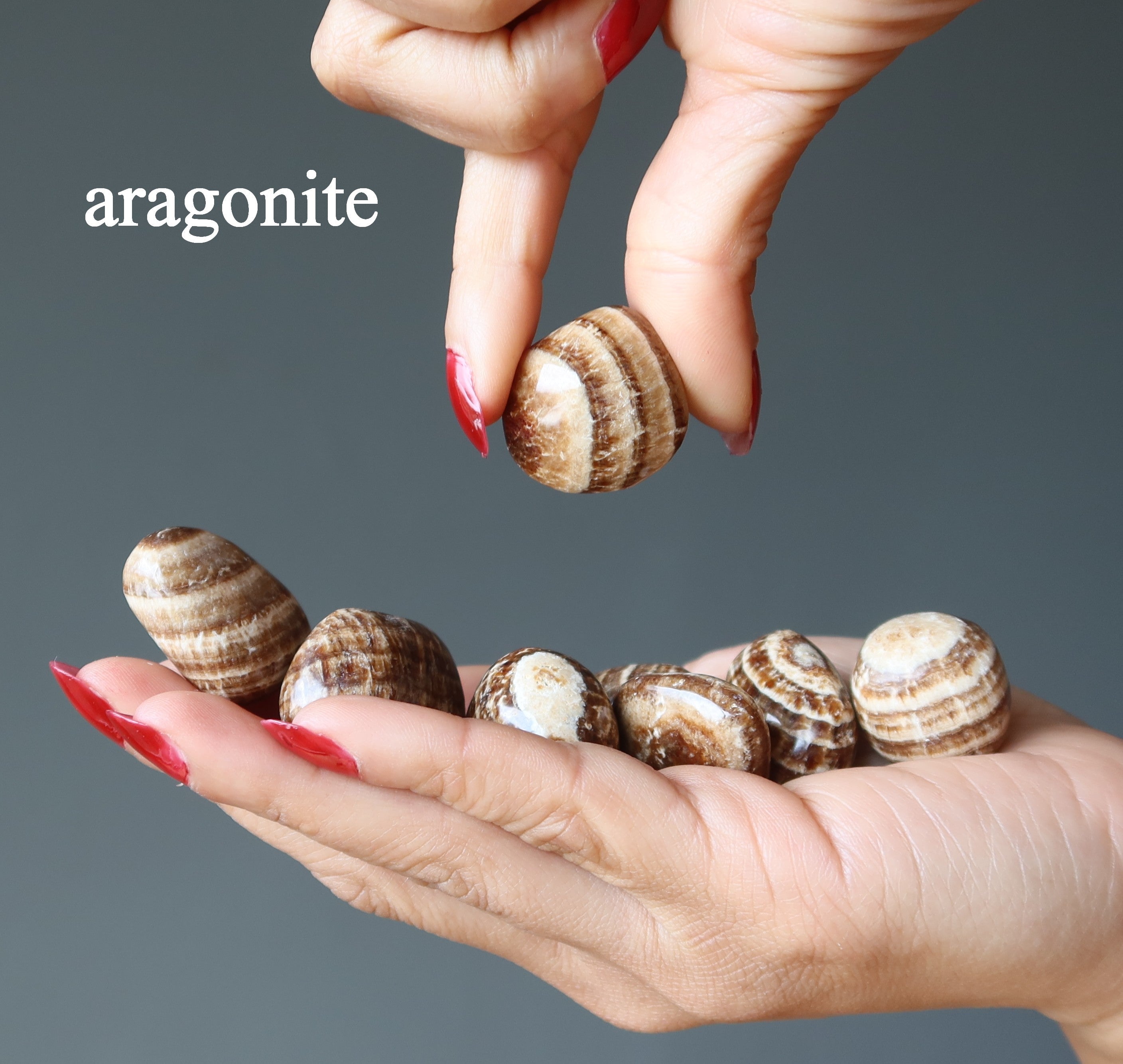 Tumbled Stone Set Root Chakra Tigers Eye Aragonite