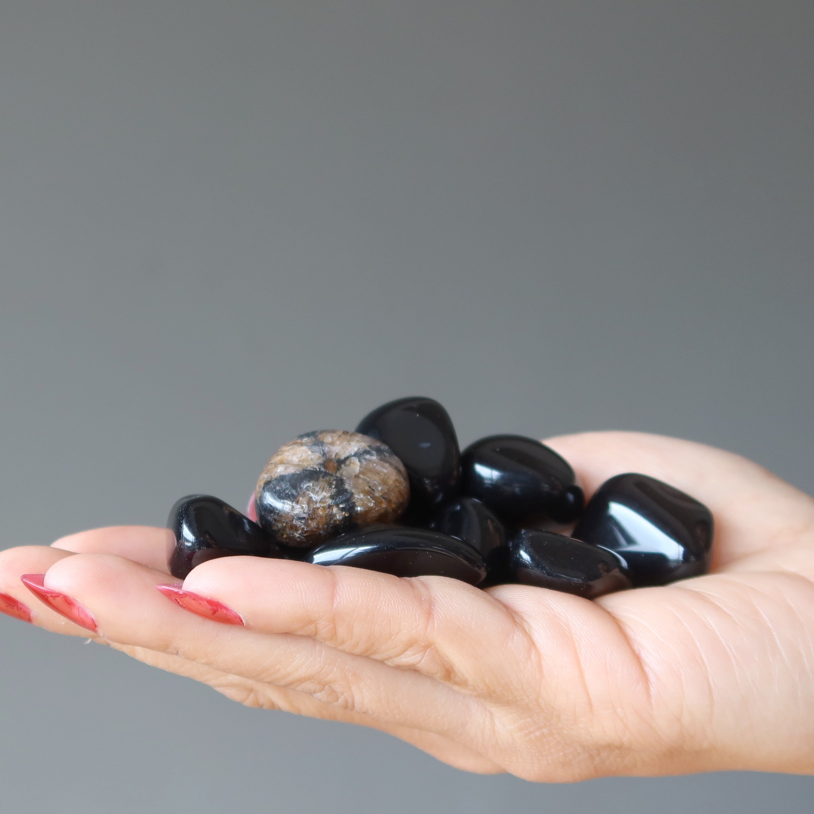Tumbled Stone Set Root Chakra Black Obsidian Chiastolite