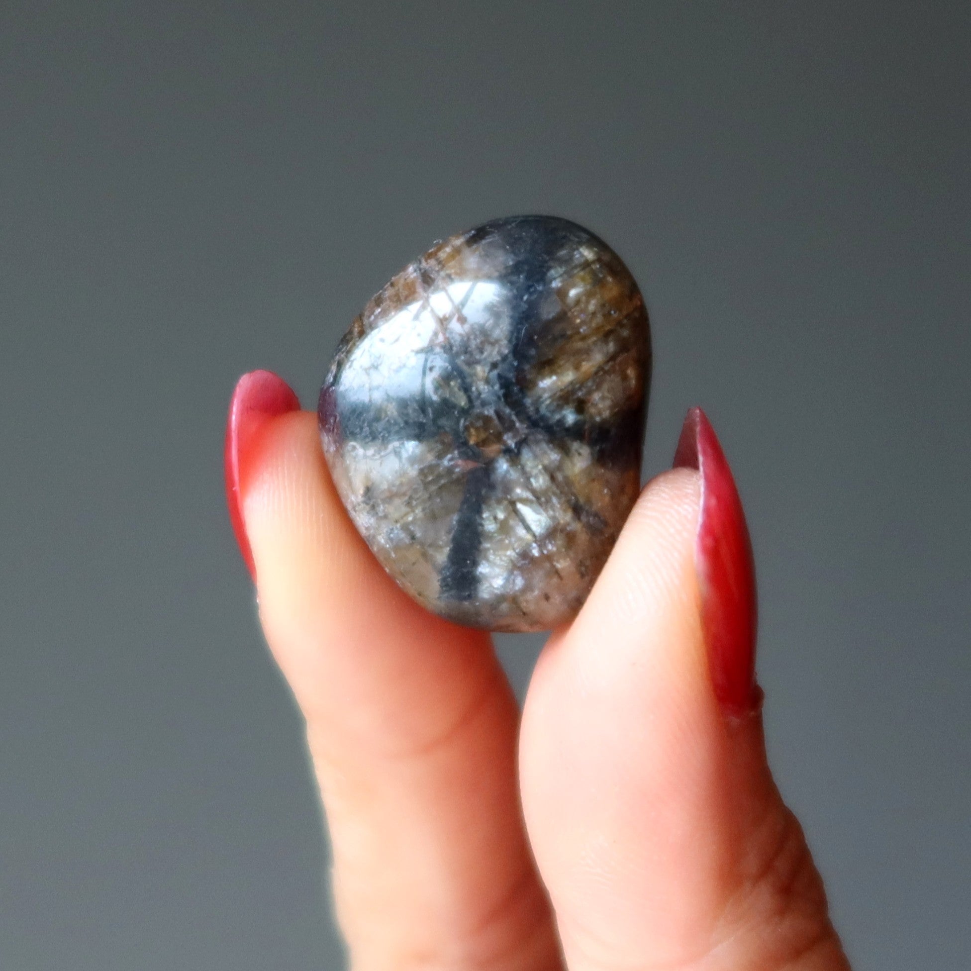 Tumbled Stone Set Root Chakra Black Obsidian Chiastolite
