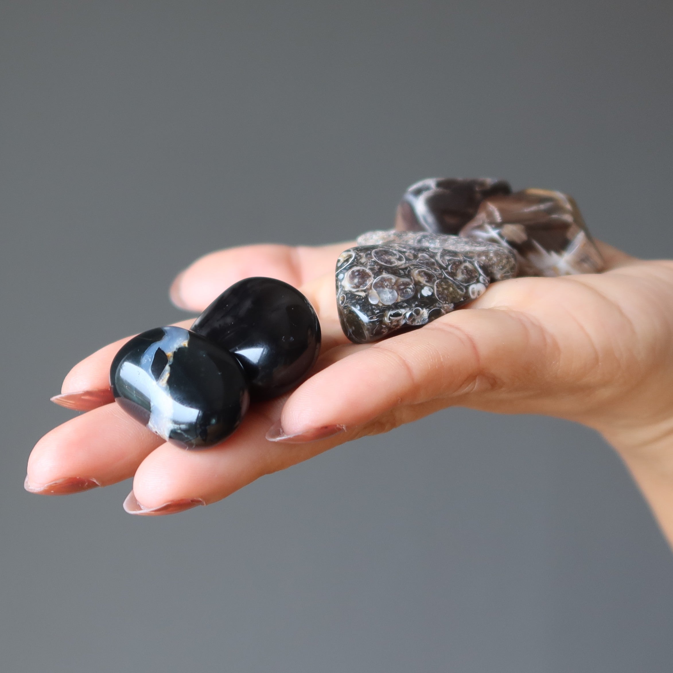 Tumbled Stone Set Root Chakra Healing Gems of the Land