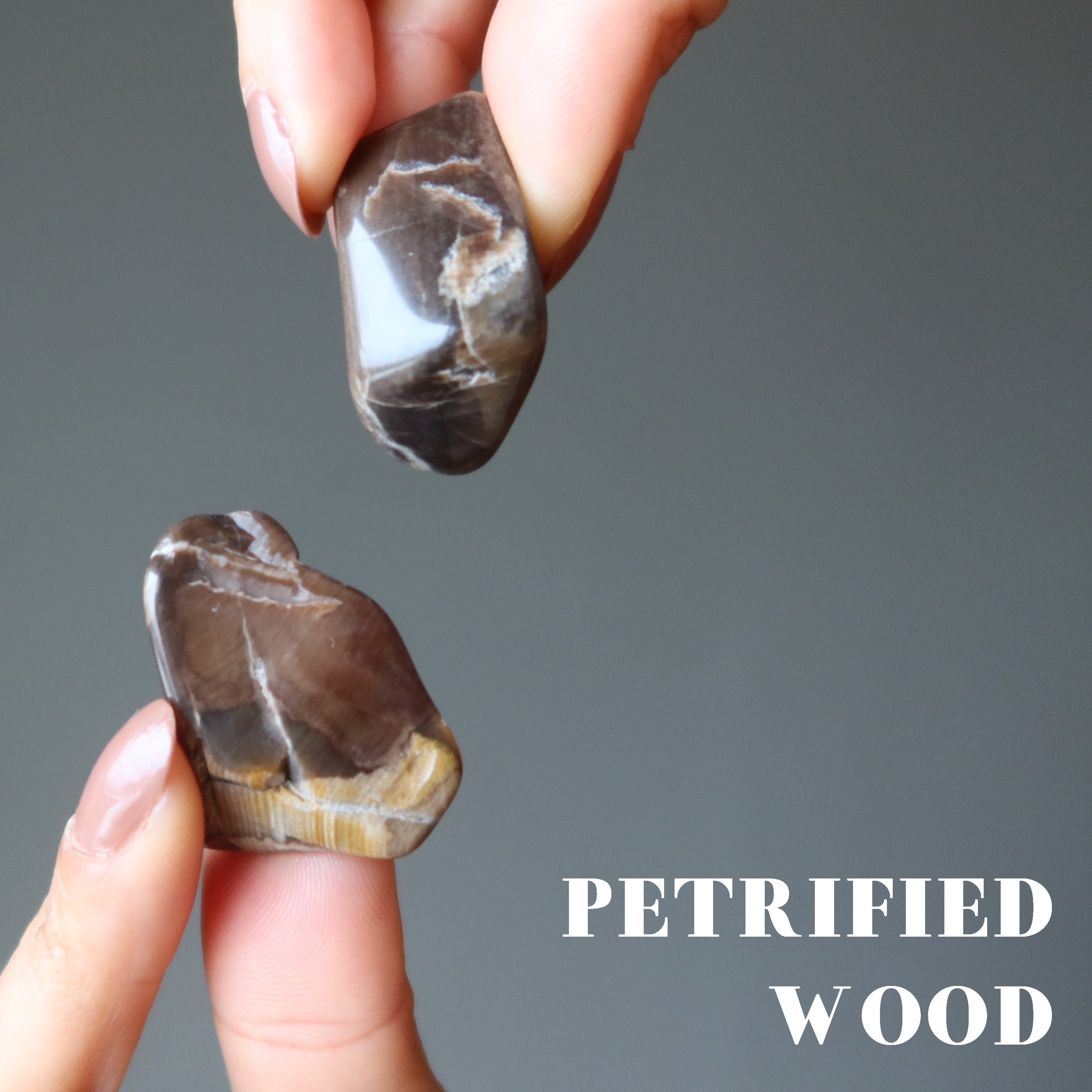 Tumbled Stone Set Root Chakra Healing Gems of the Land