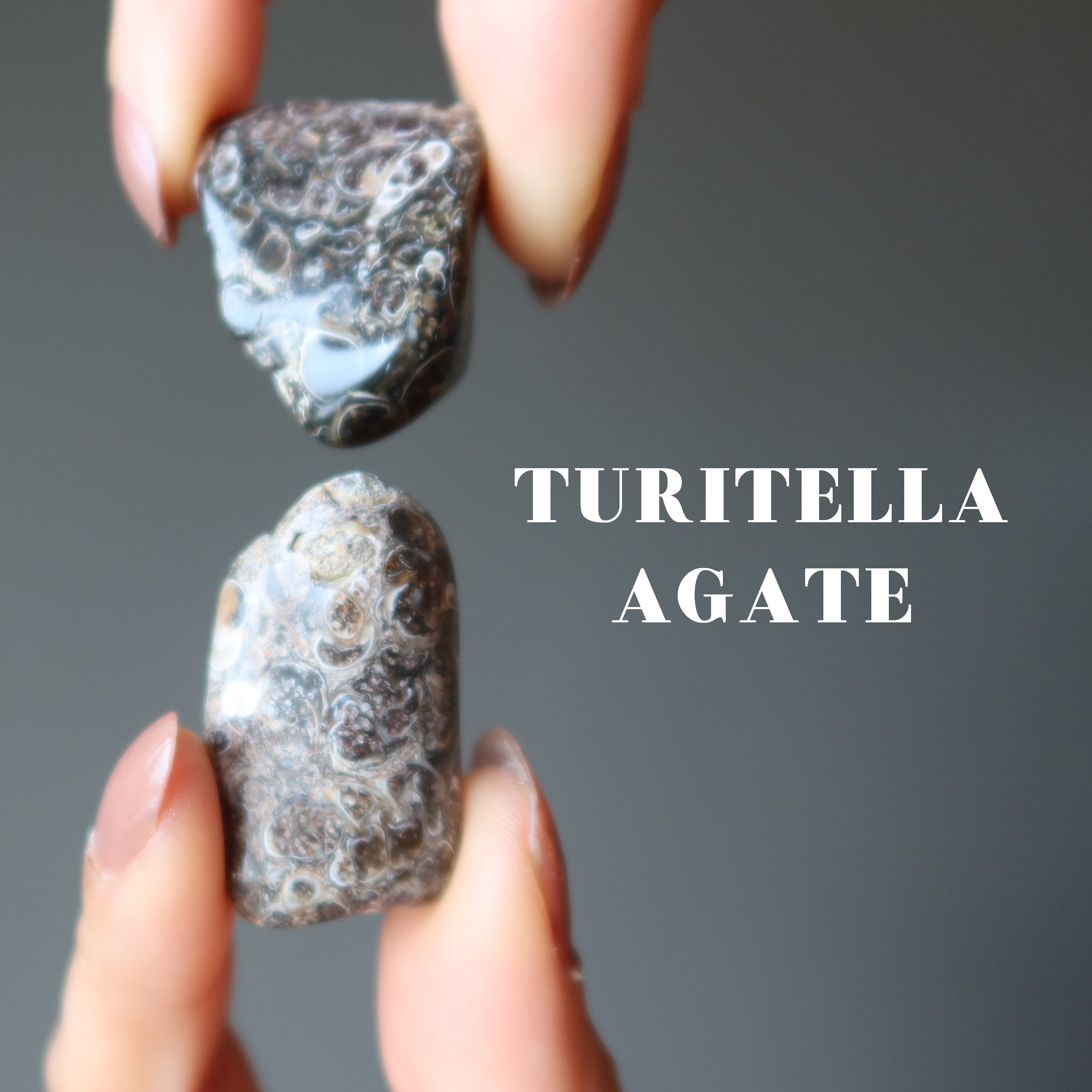 Tumbled Stone Set Root Chakra Healing Gems of the Land