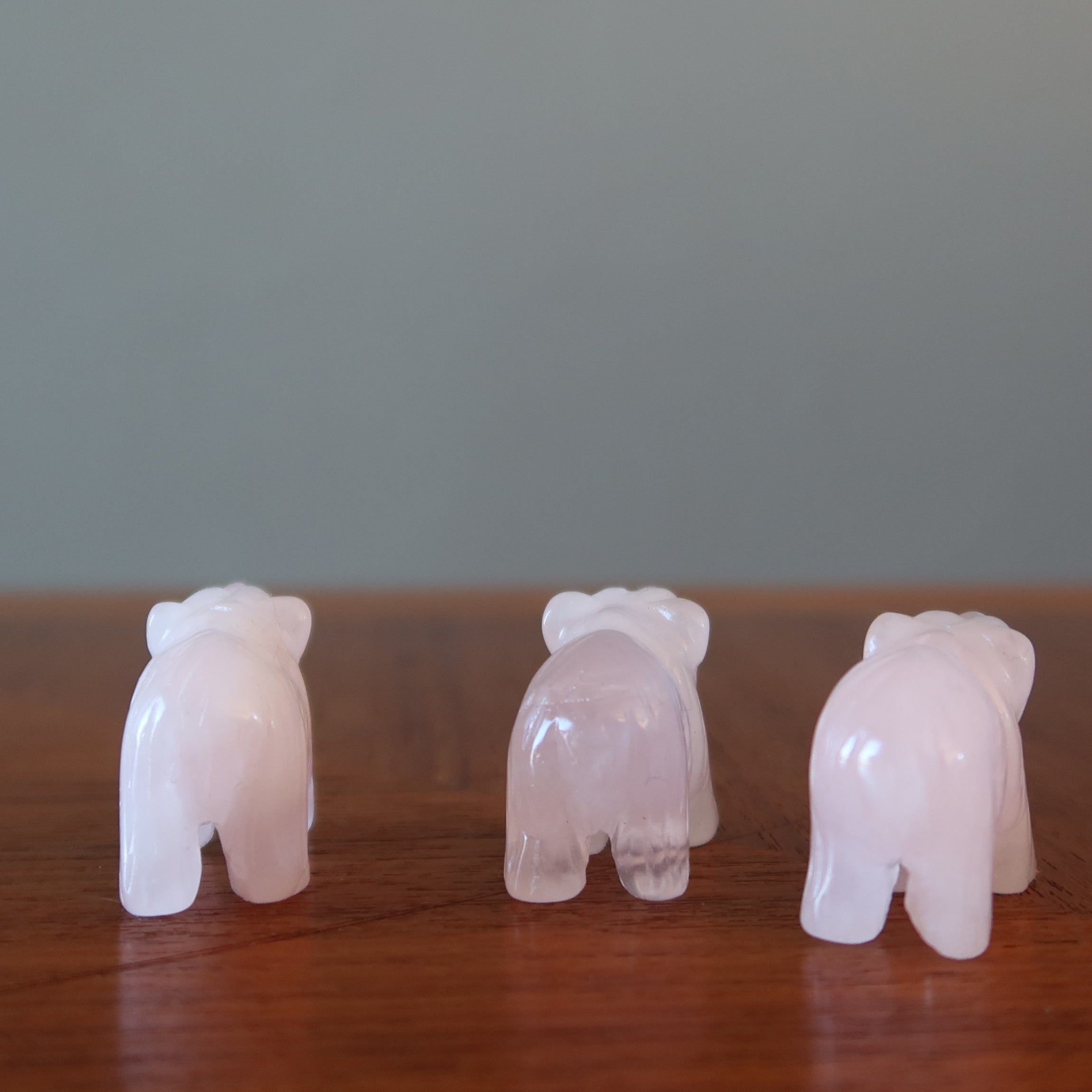 Ours rose quartz rose grizzly autonomisation des filles