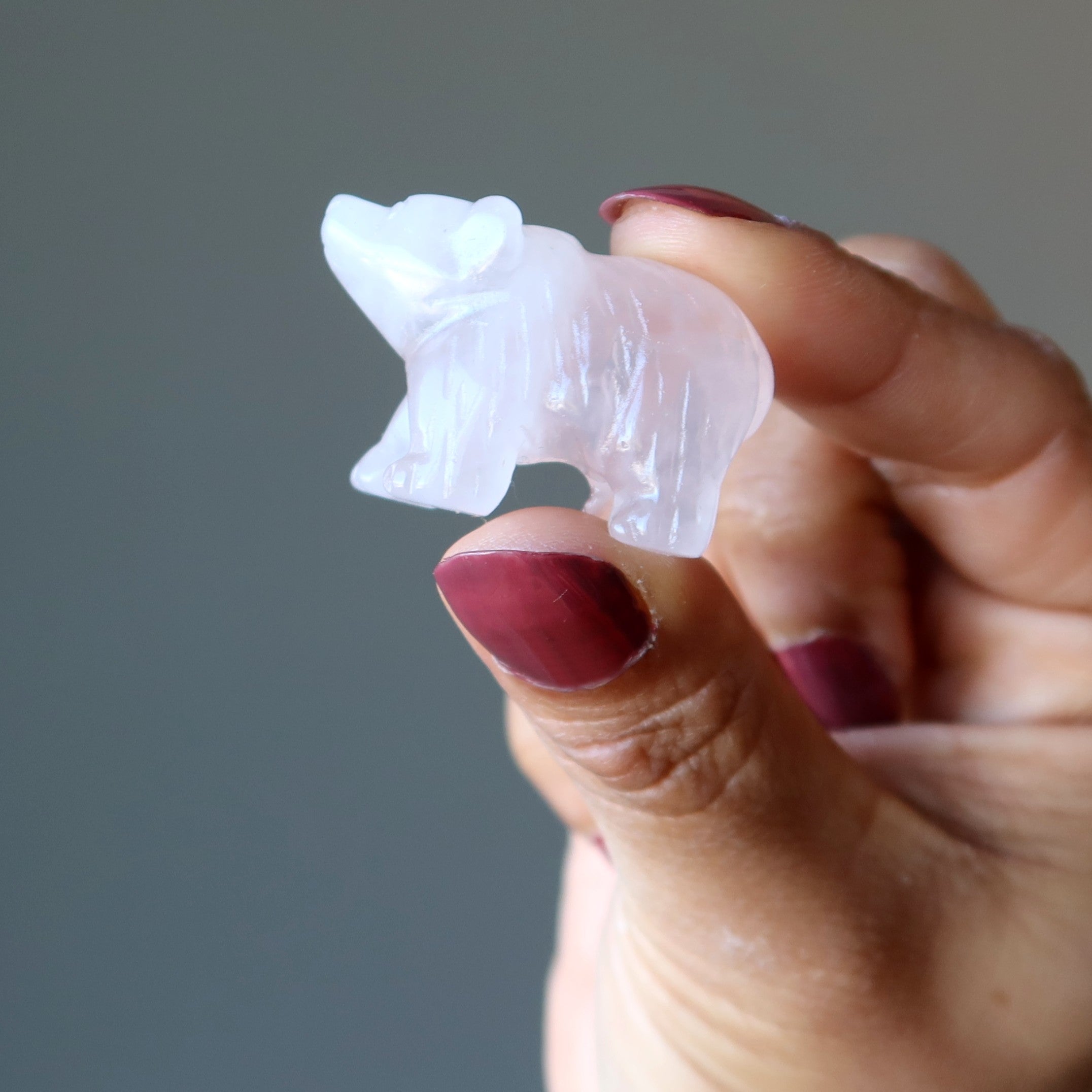 Ours rose quartz rose grizzly autonomisation des filles