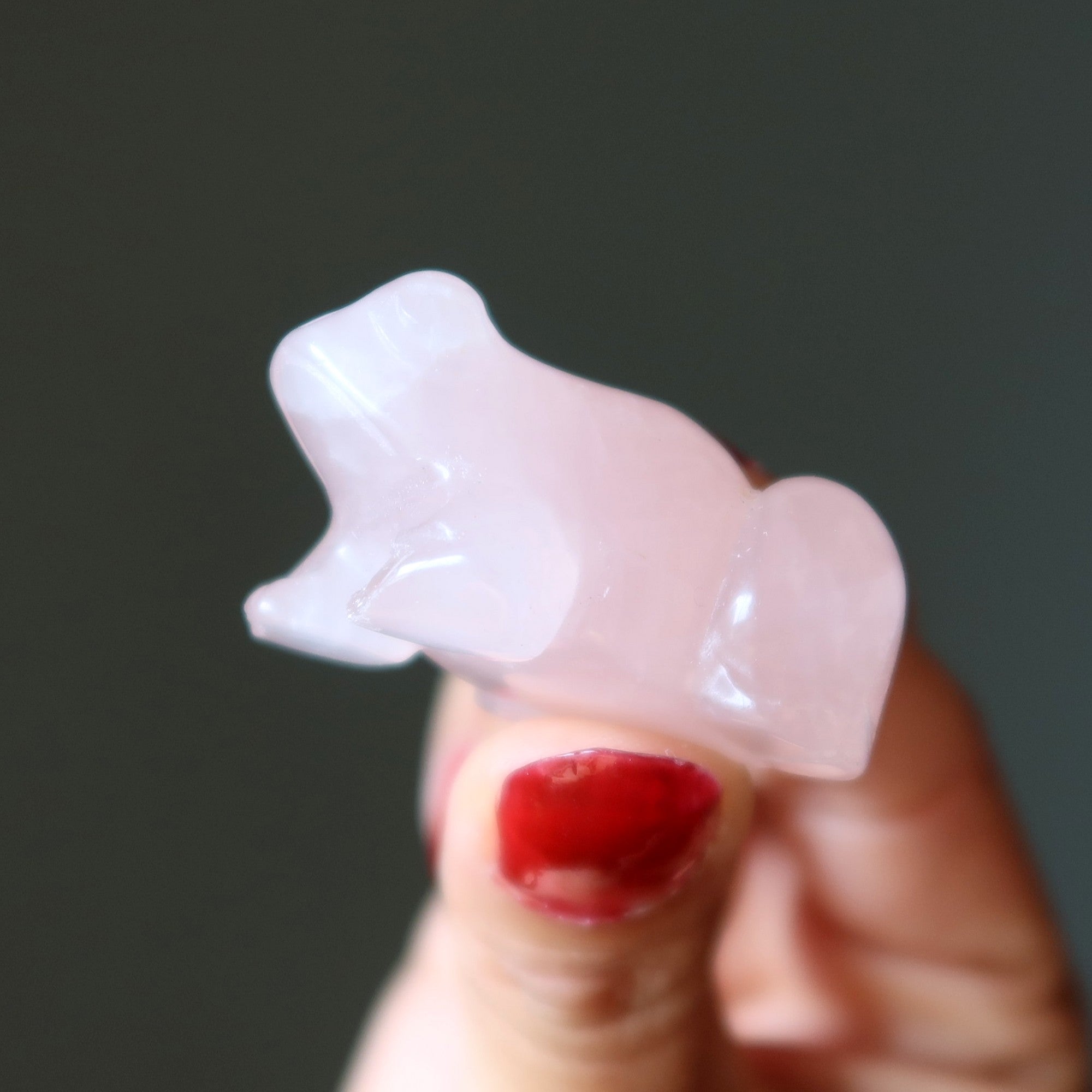 Grenouille de quartz rose animal guerrier blessé