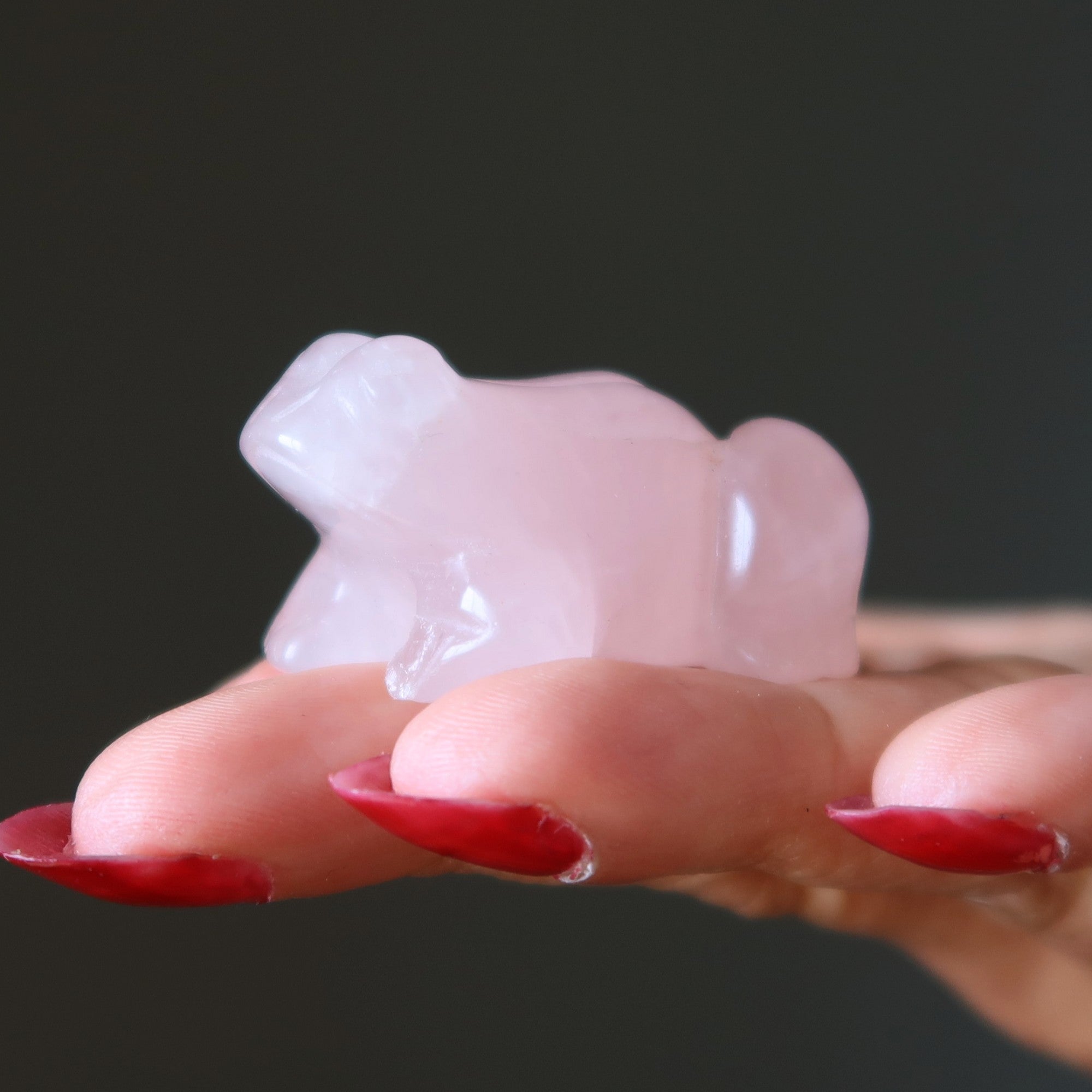 Grenouille de quartz rose animal guerrier blessé