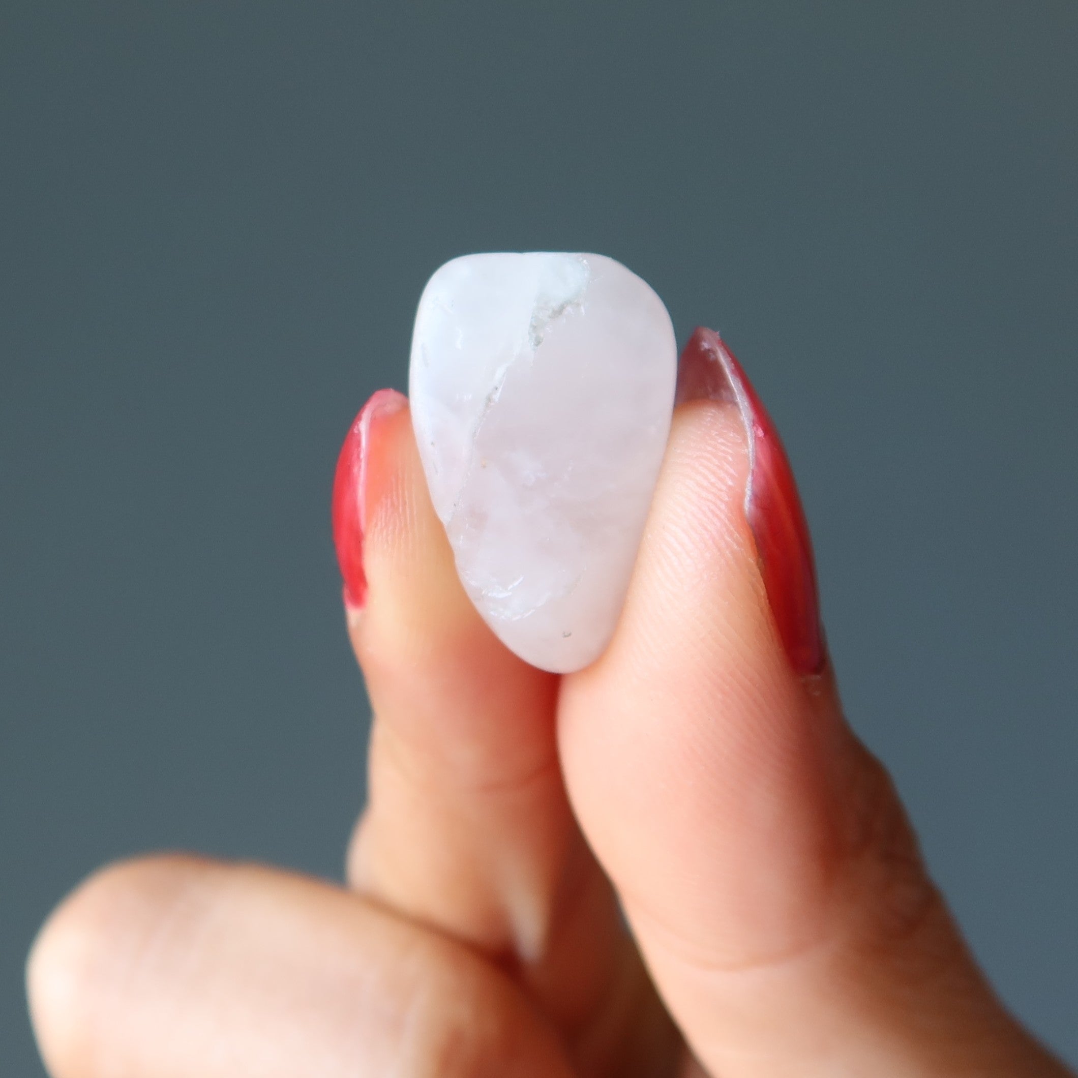 Rose Quartz Tumbled Stone Organic Love Crystal