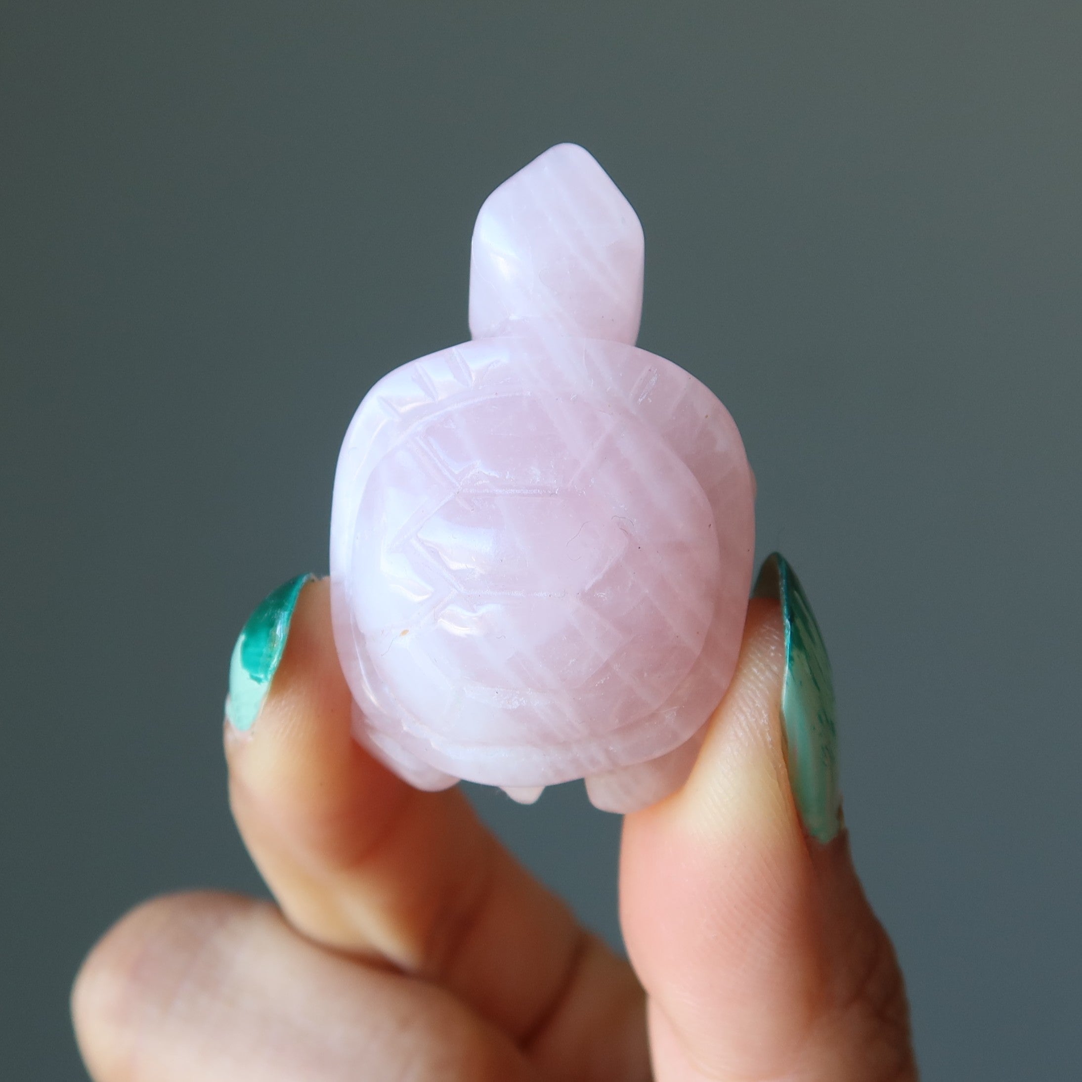 Rose Quartz Turtle Live Laugh Love Pink Crystal