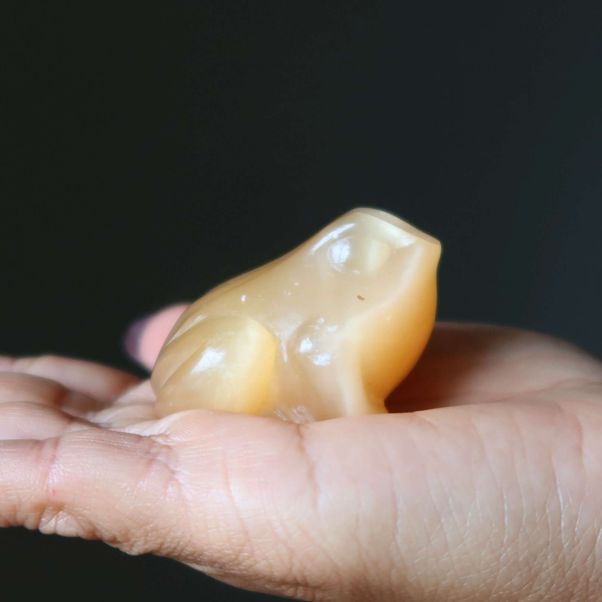 Orange Selenite Frog Hop to Enlightenment