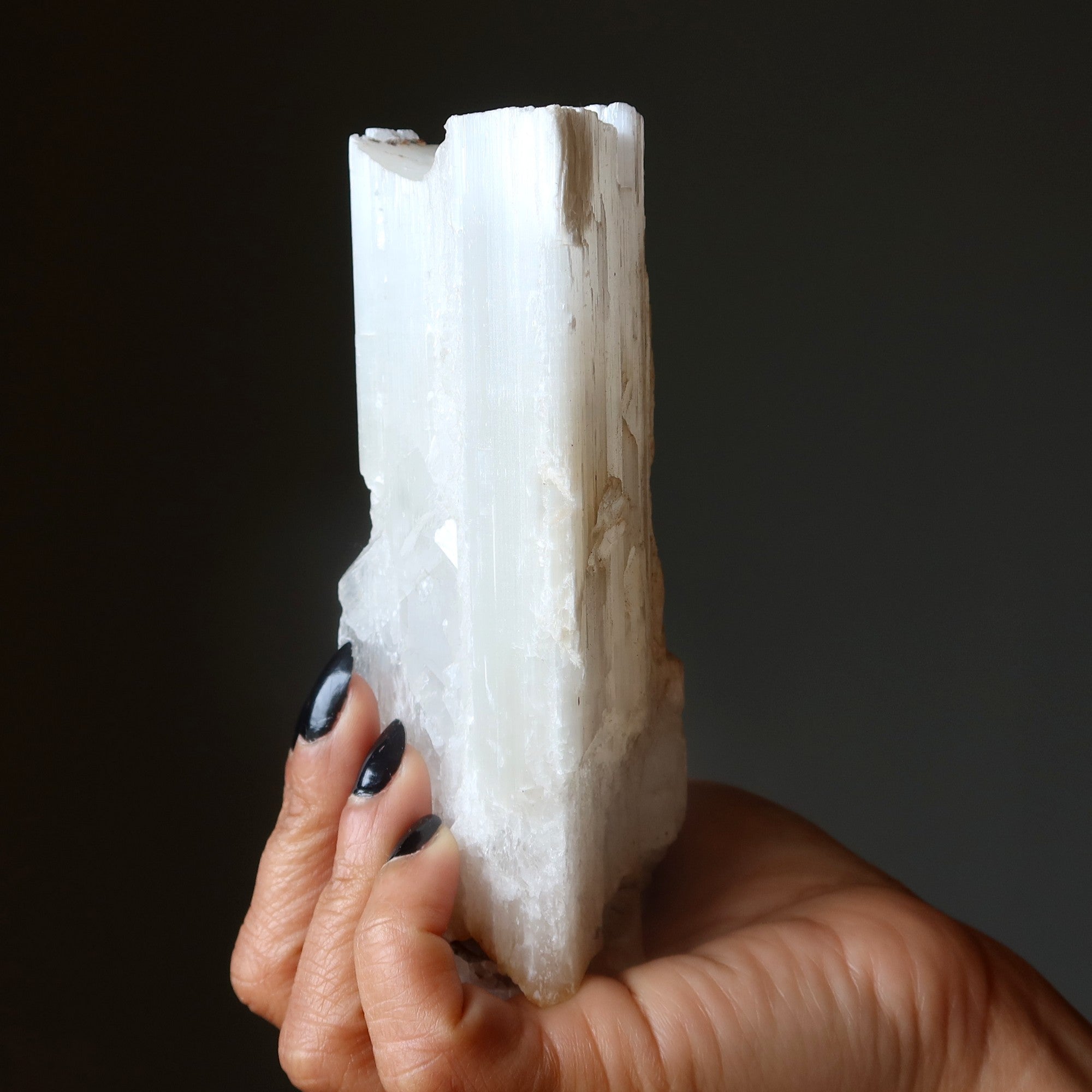 Selenite Charger Big Log of Raw Satin Spar Crystal XXL 8 Inch
