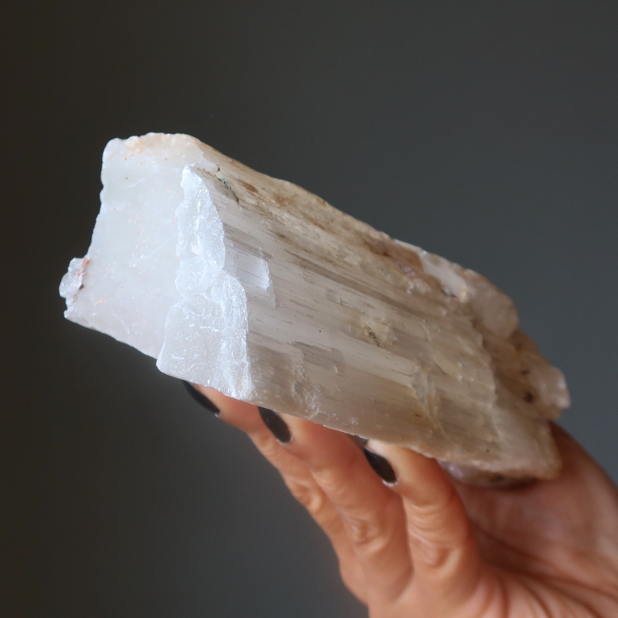 Selenite Charger Big Log of Raw Satin Spar Crystal XXL 8 Inch