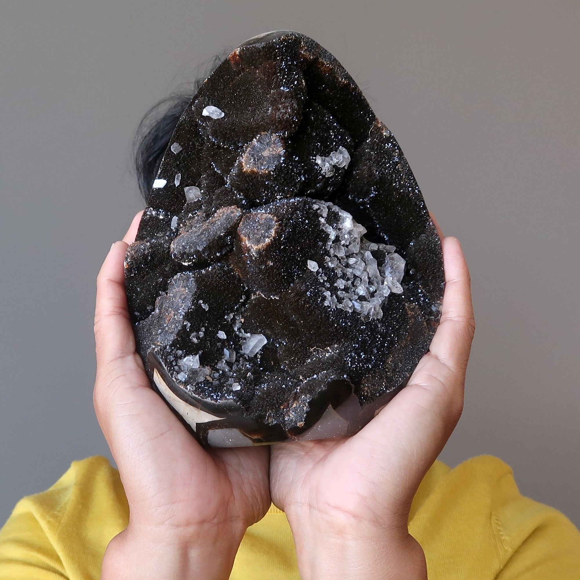 Œuf de Septaria Druzy Quartz Géode Pierres du Dragon Mighty Elements