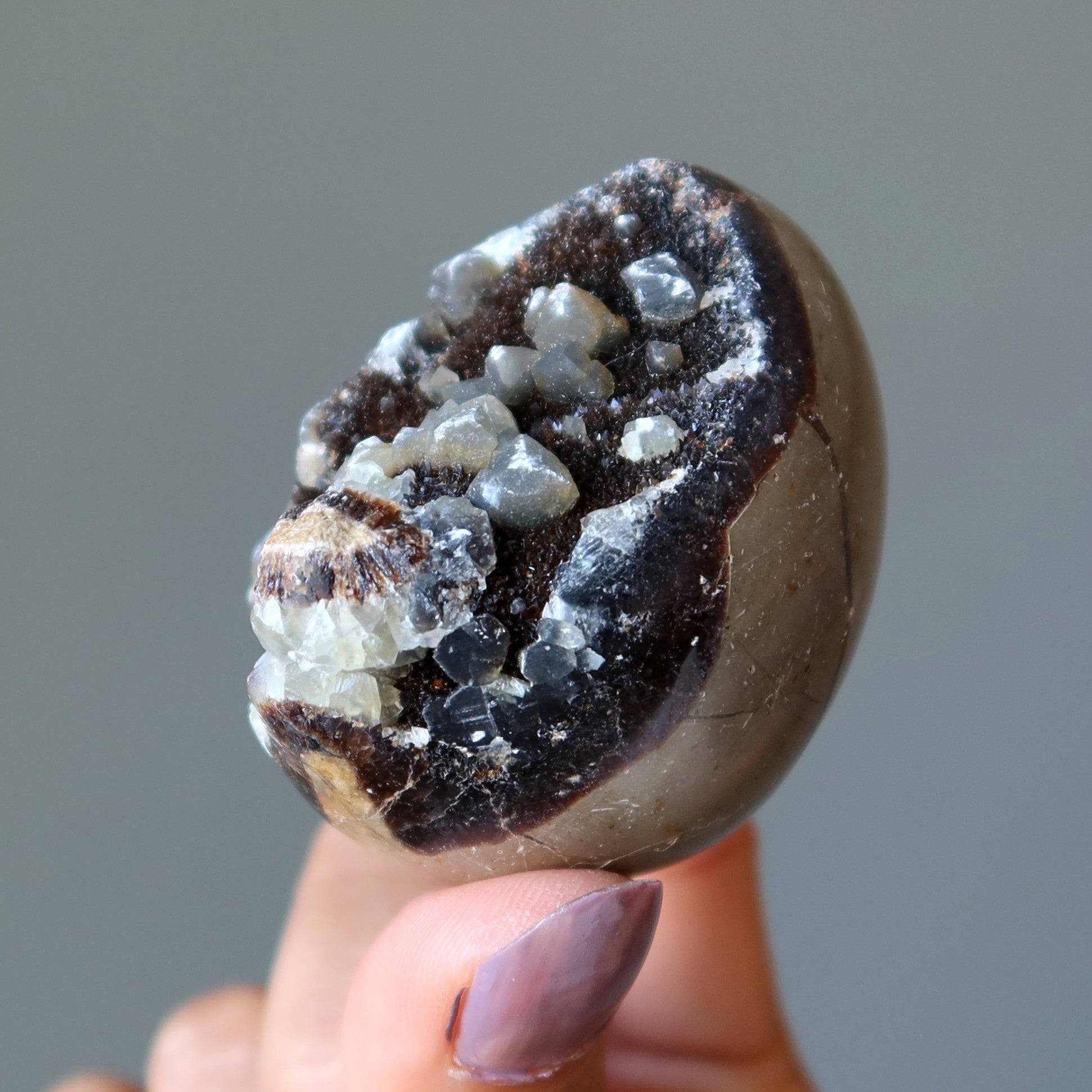 Œuf de Septaria Druzy Quartz Géode Pierres du Dragon Mighty Elements