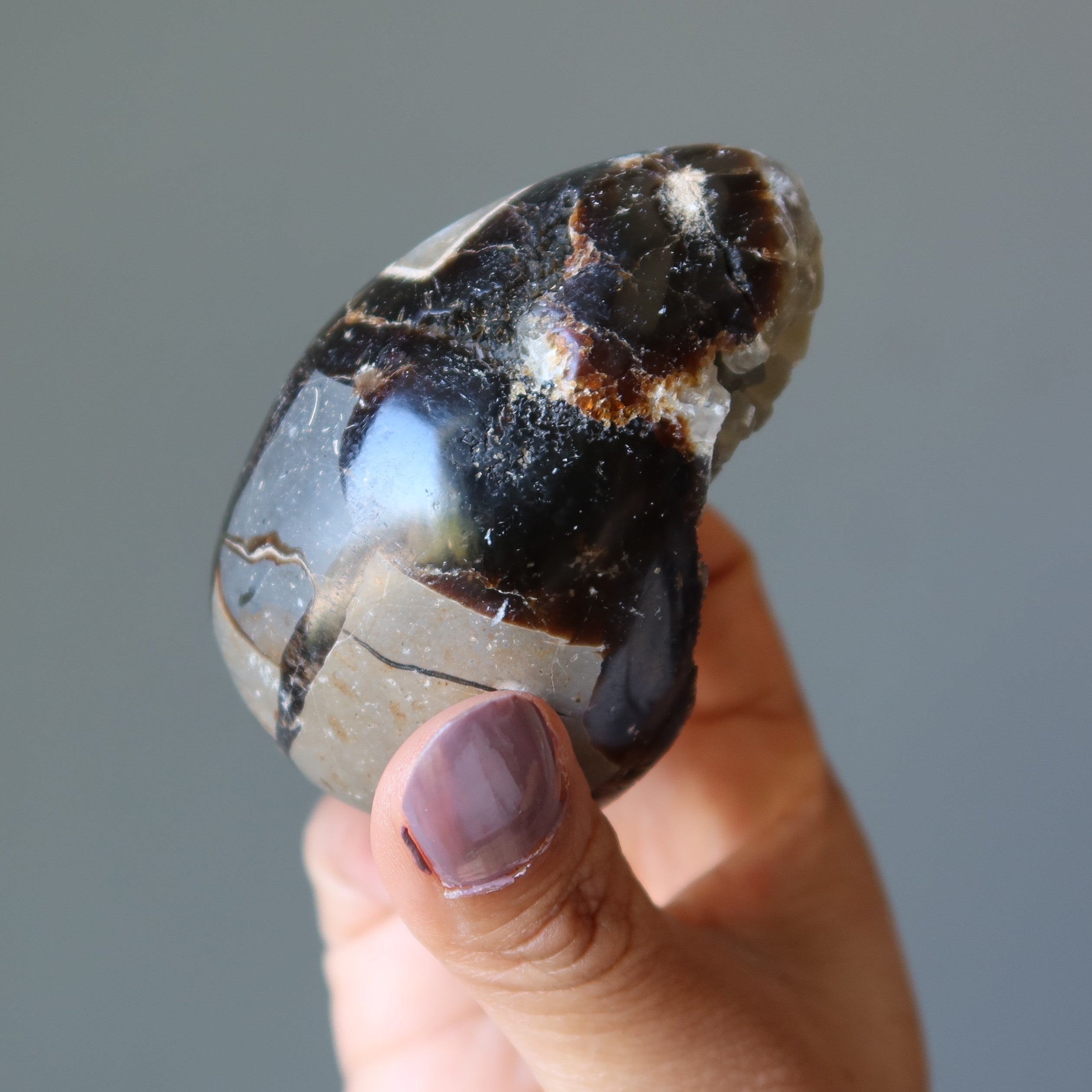 Œuf de Septaria Druzy Quartz Géode Pierres du Dragon Mighty Elements
