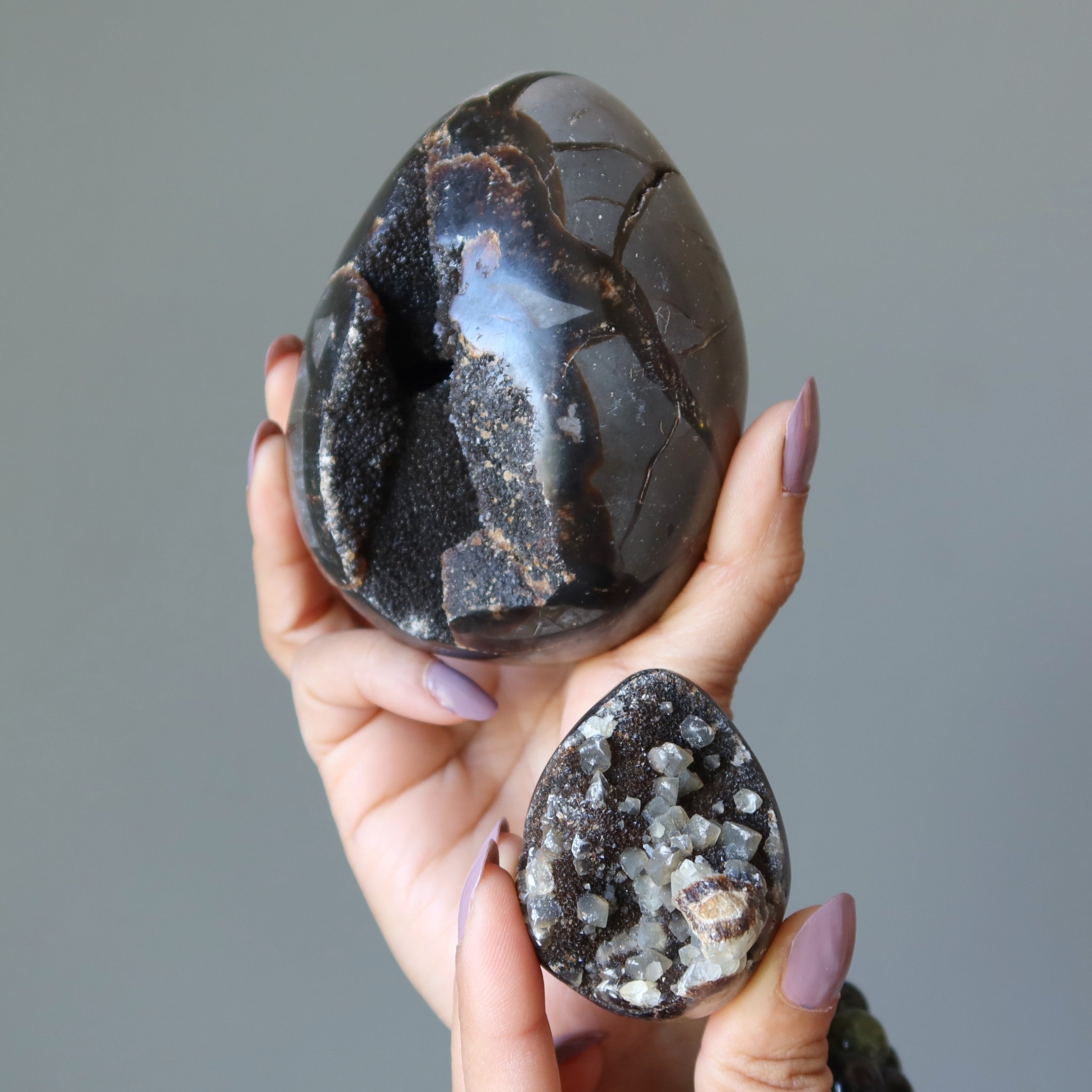 Œuf de Septaria Druzy Quartz Géode Pierres du Dragon Mighty Elements