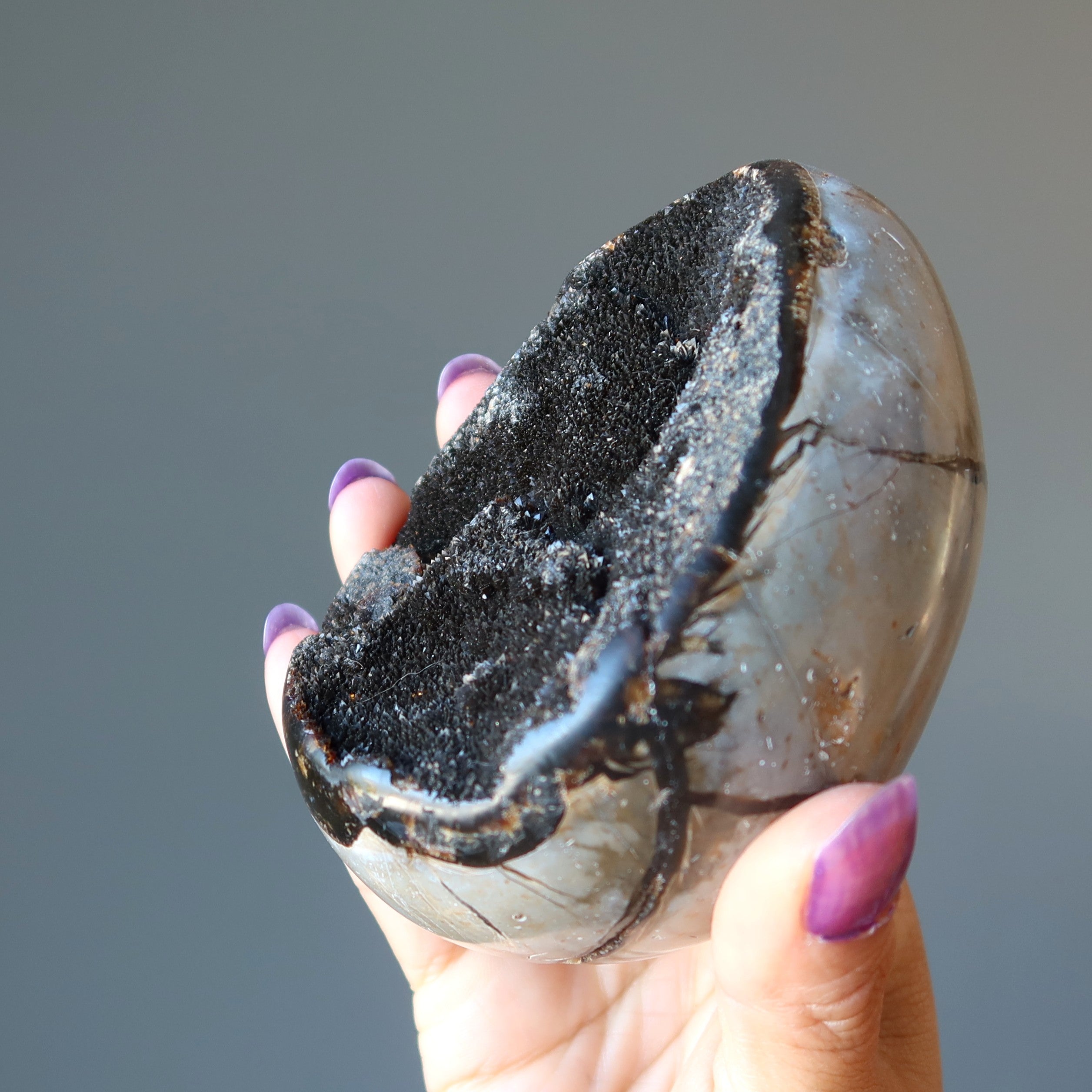 Œuf de Septaria Druzy Quartz Géode Pierres du Dragon Mighty Elements