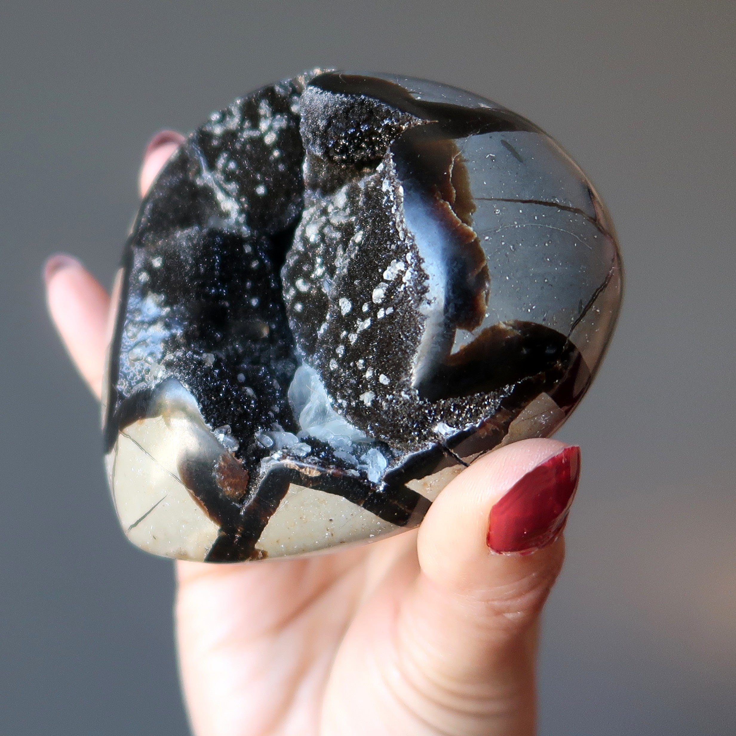 Cœur septaria Géode Dragon Stone Cluster