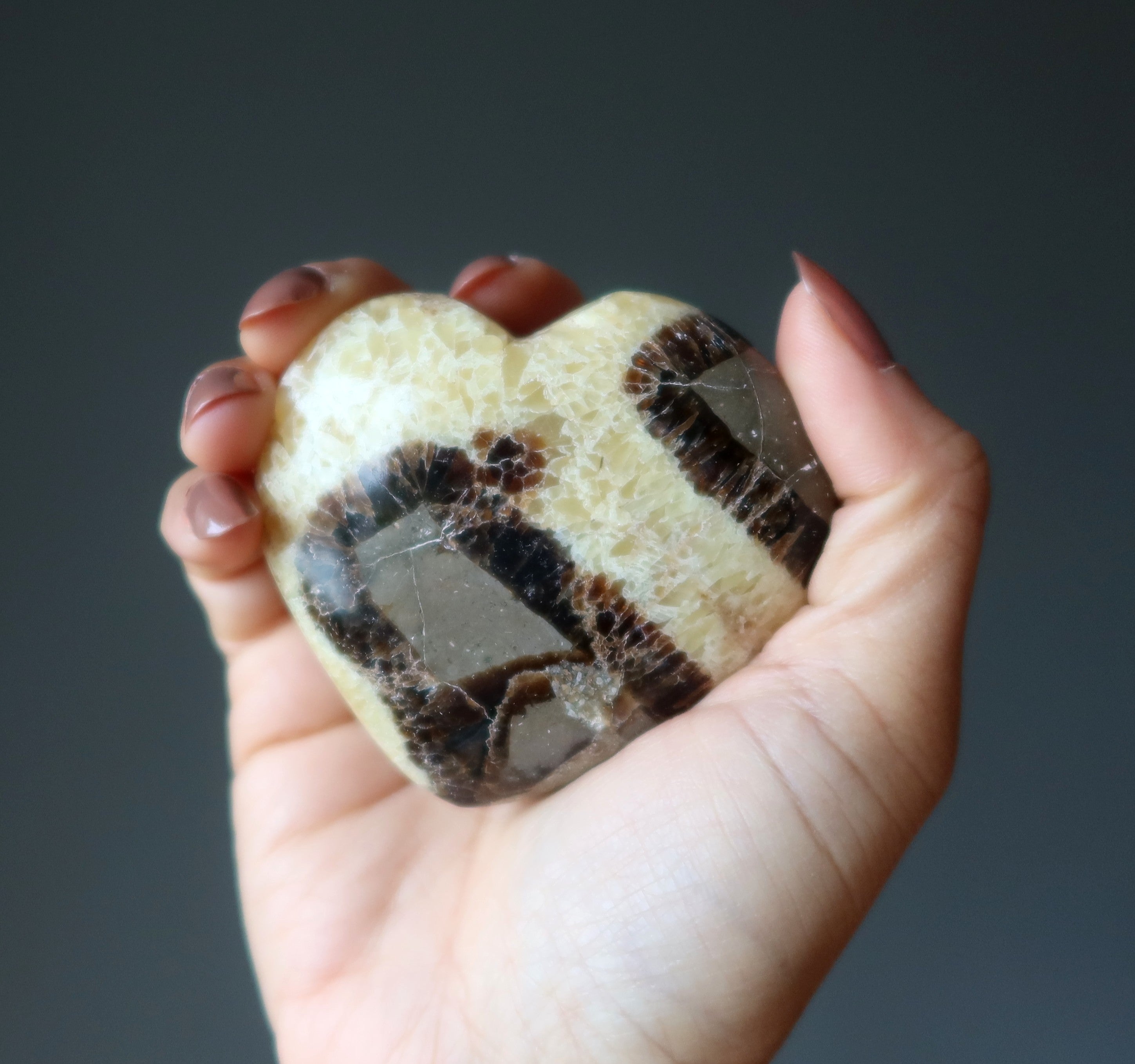 Septarian Heart Mosaic Beauty Dragon Protection Love Stone