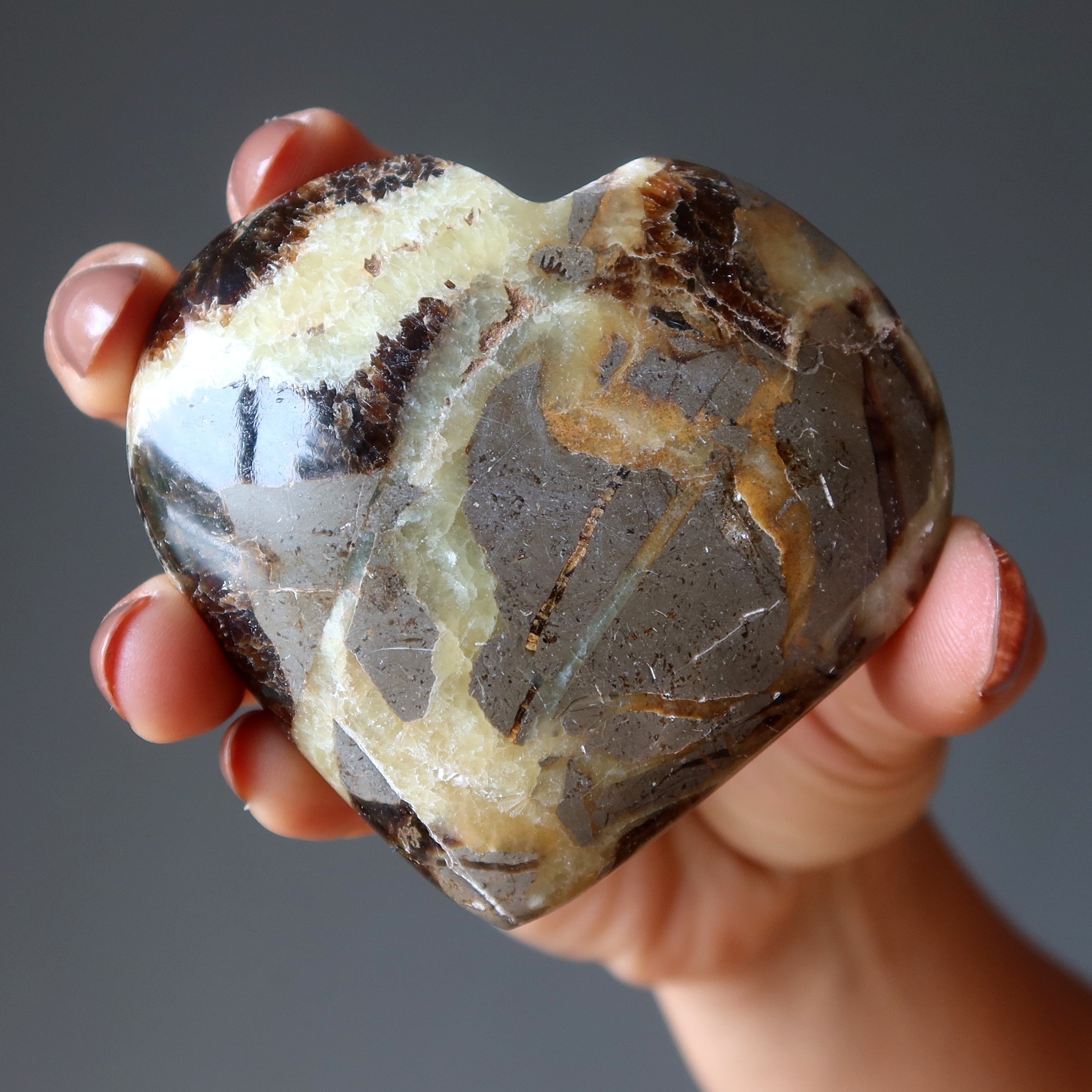 Septarian Heart Mosaic Beauty Dragon Protection Love Stone