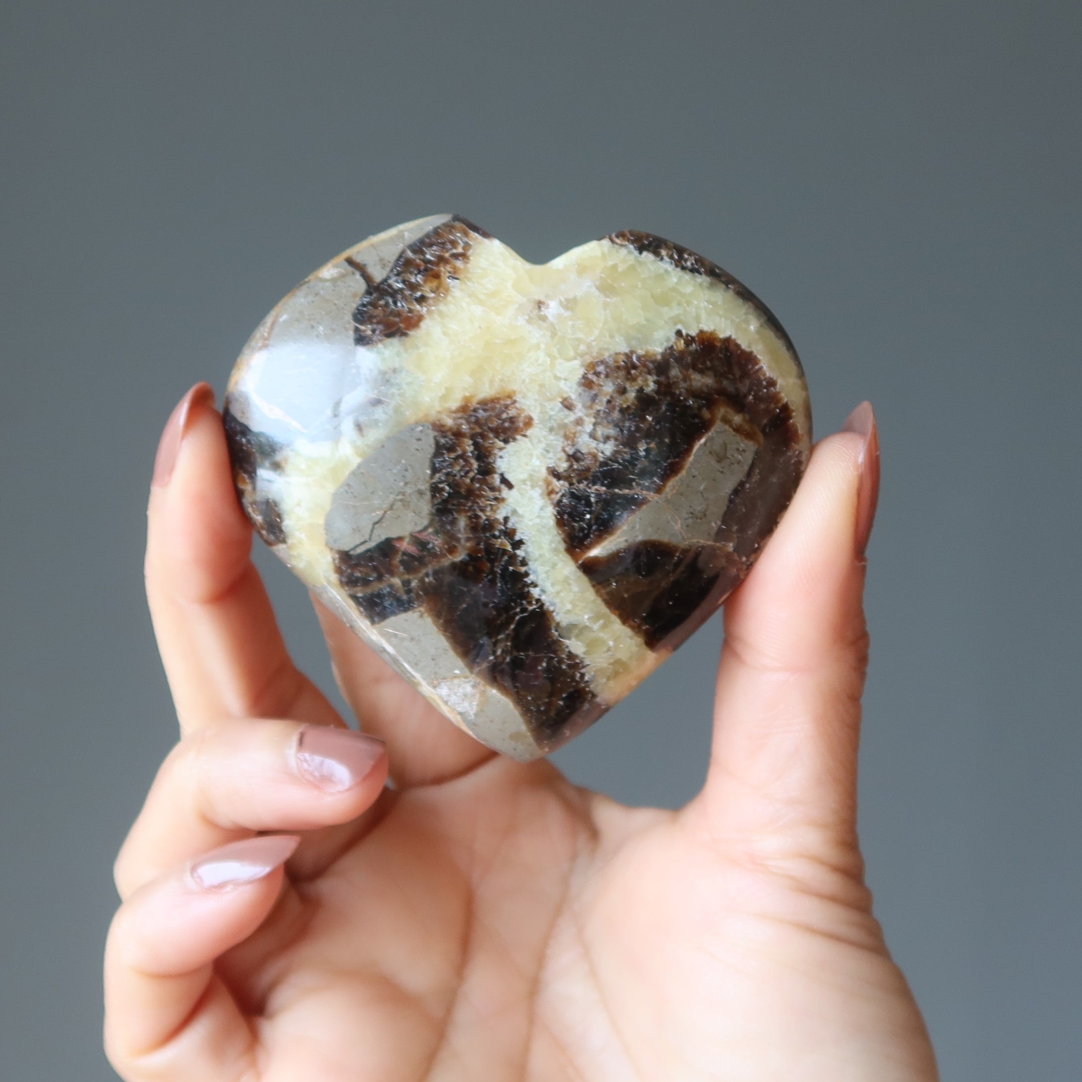 Septarian Heart Mosaic Beauty Dragon Protection Love Stone