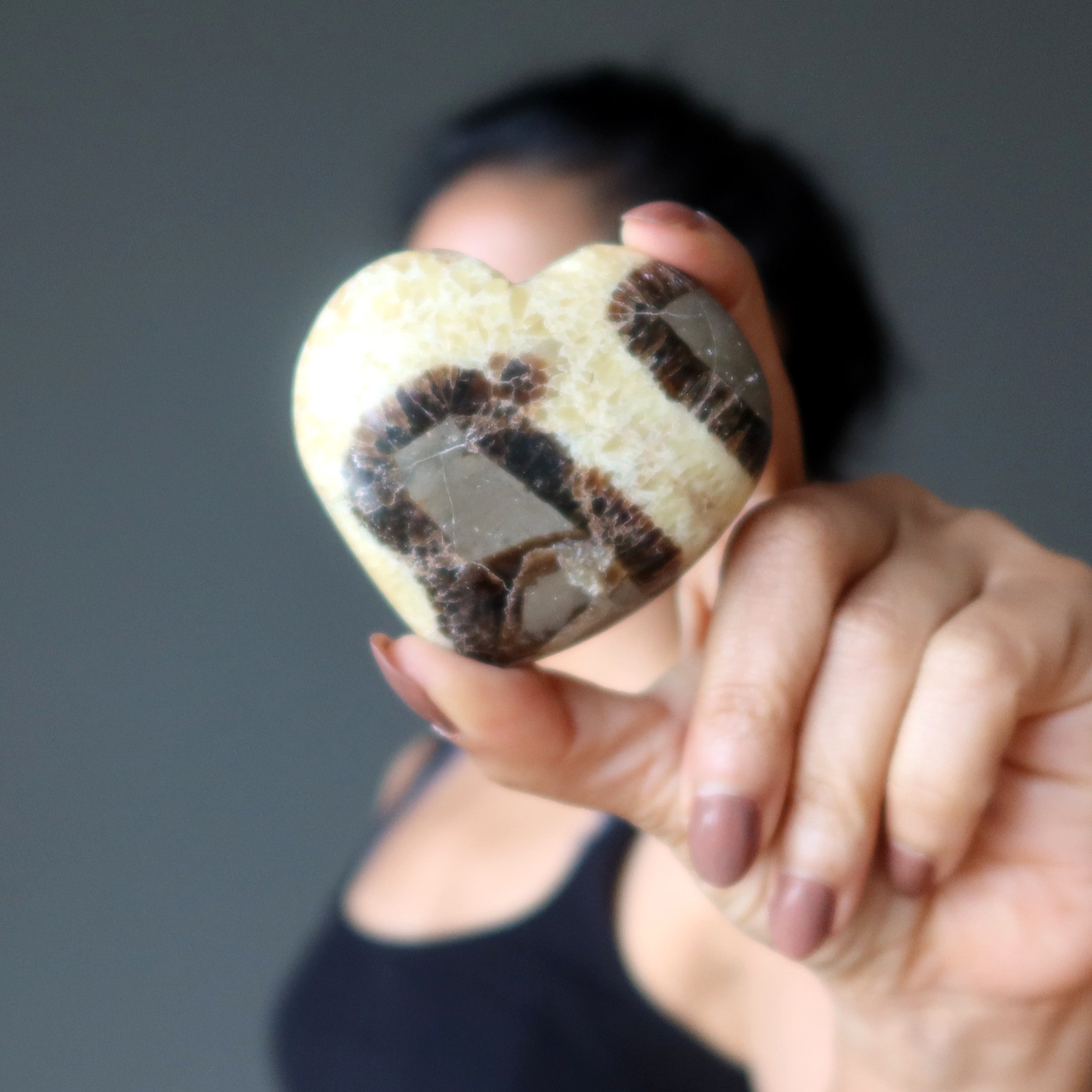 Septarian Heart Mosaic Beauty Dragon Protection Love Stone