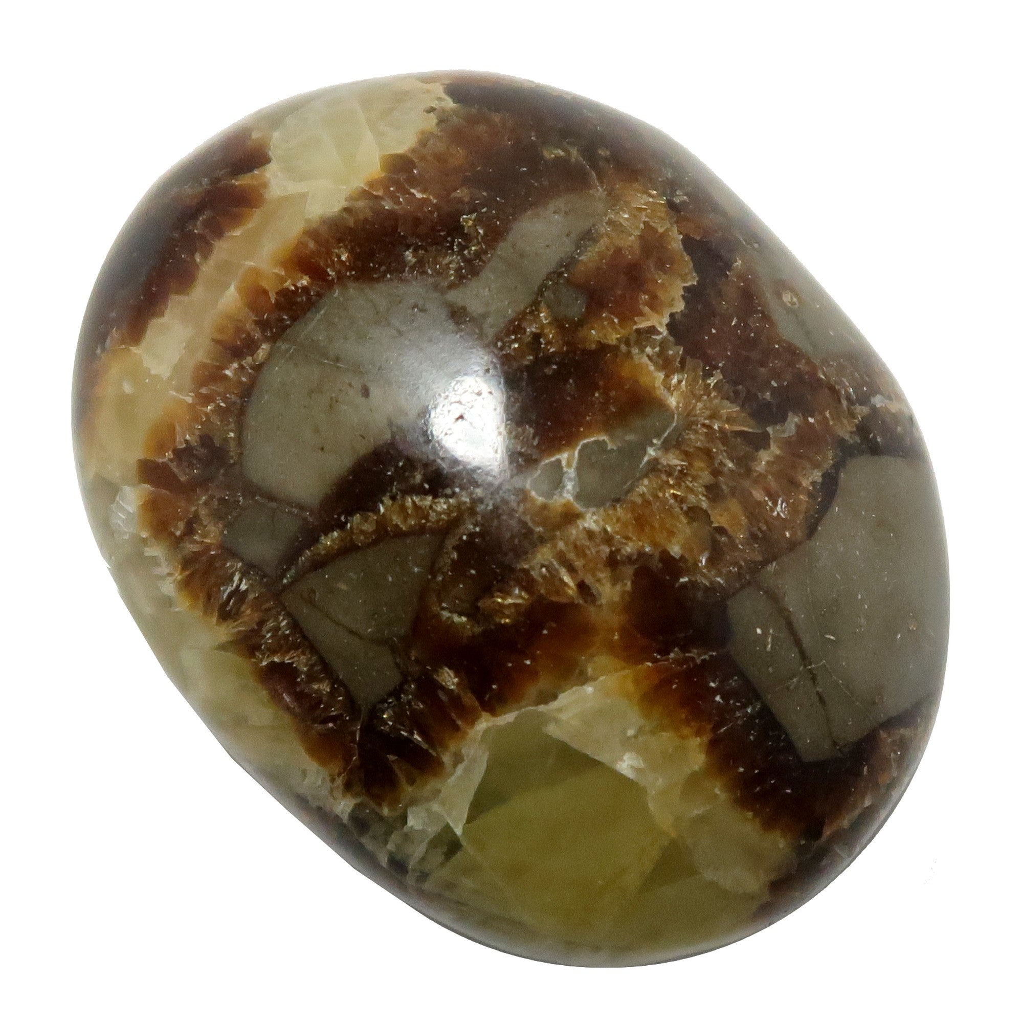 Septarian Palm Stone Bundle Dragon Protection Set of 5