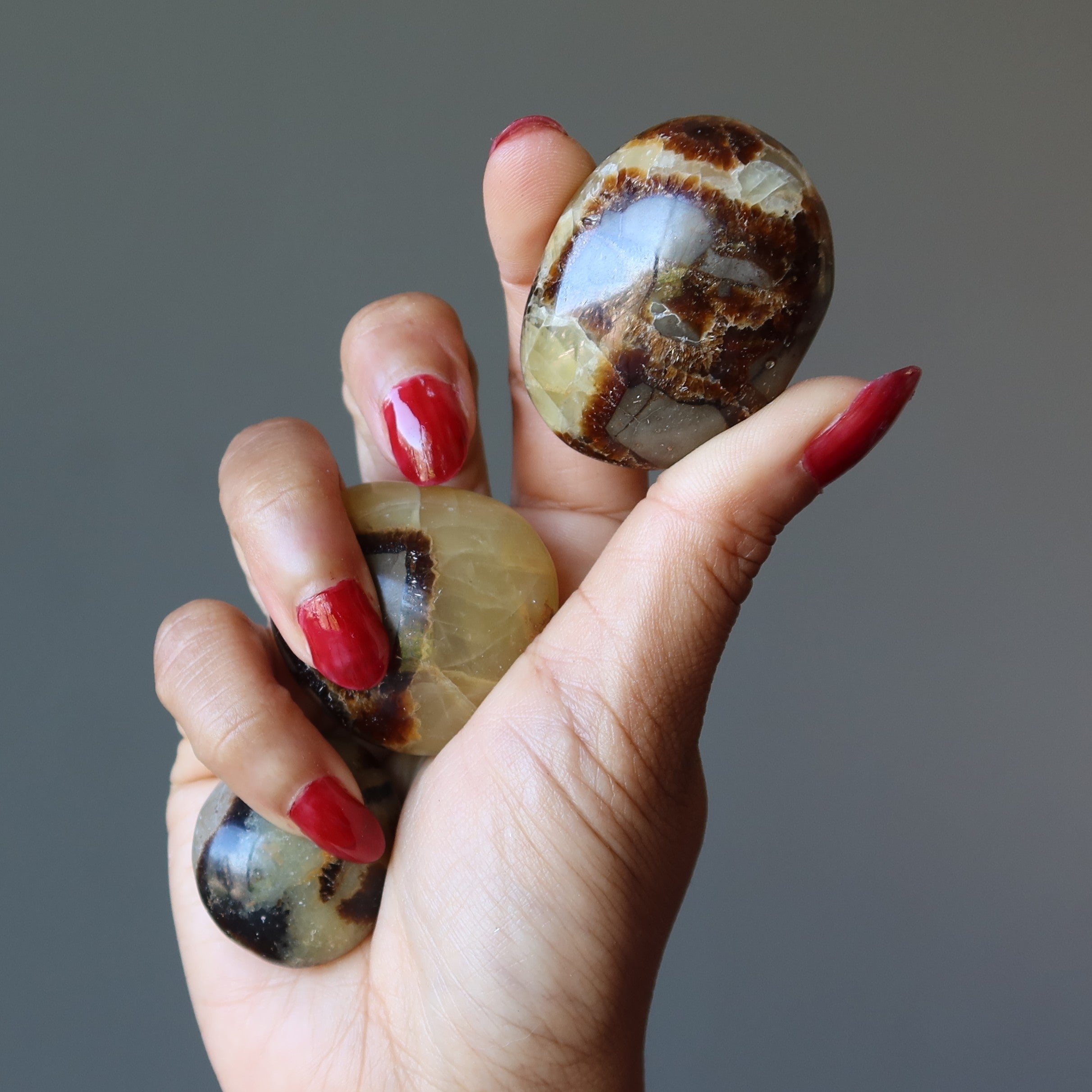 Septarian Palm Stone Bundle Dragon Protection Set of 5