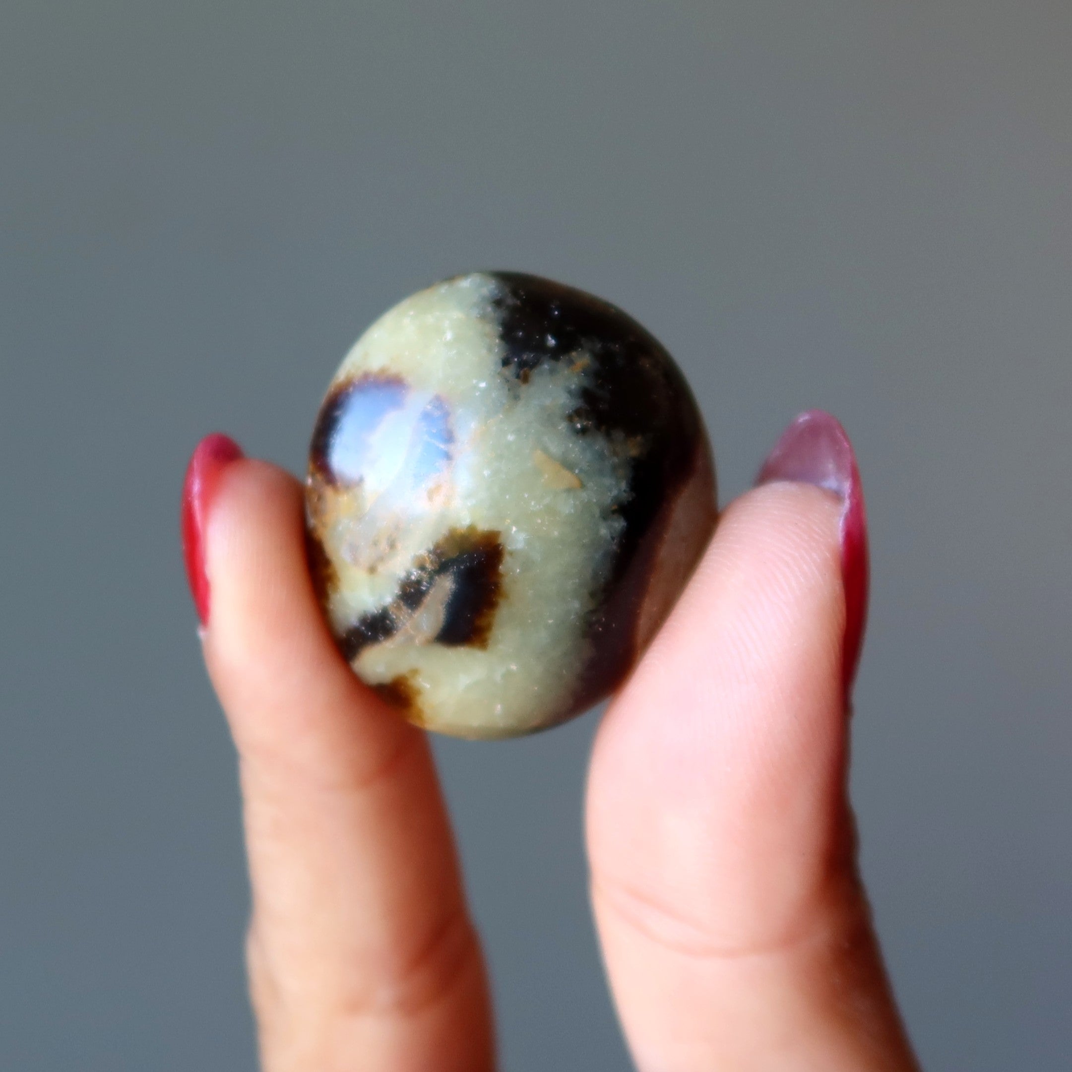 Septarian Palm Stone Bundle Dragon Protection Set of 5