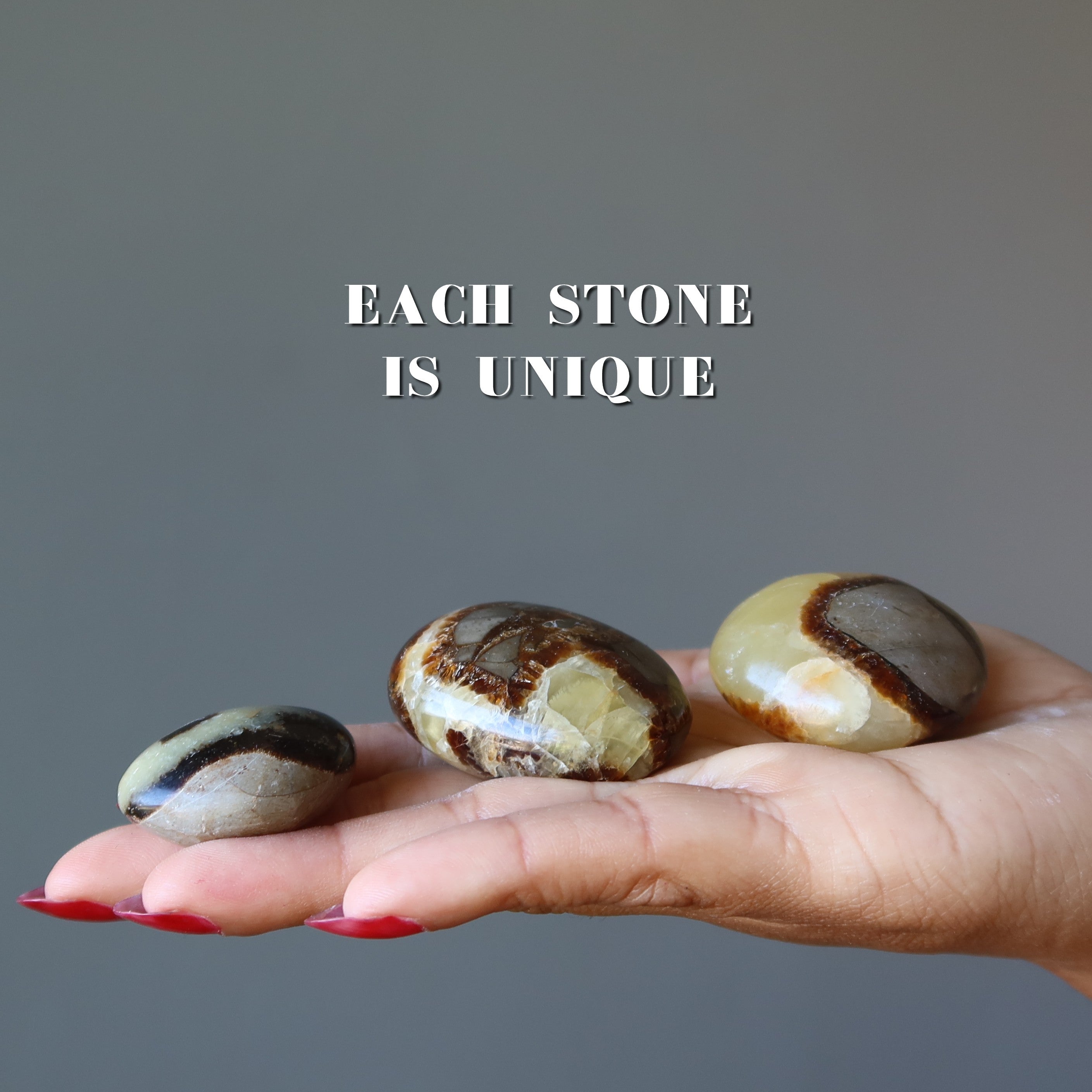 Septarian Palm Stone Bundle Dragon Protection Set of 5