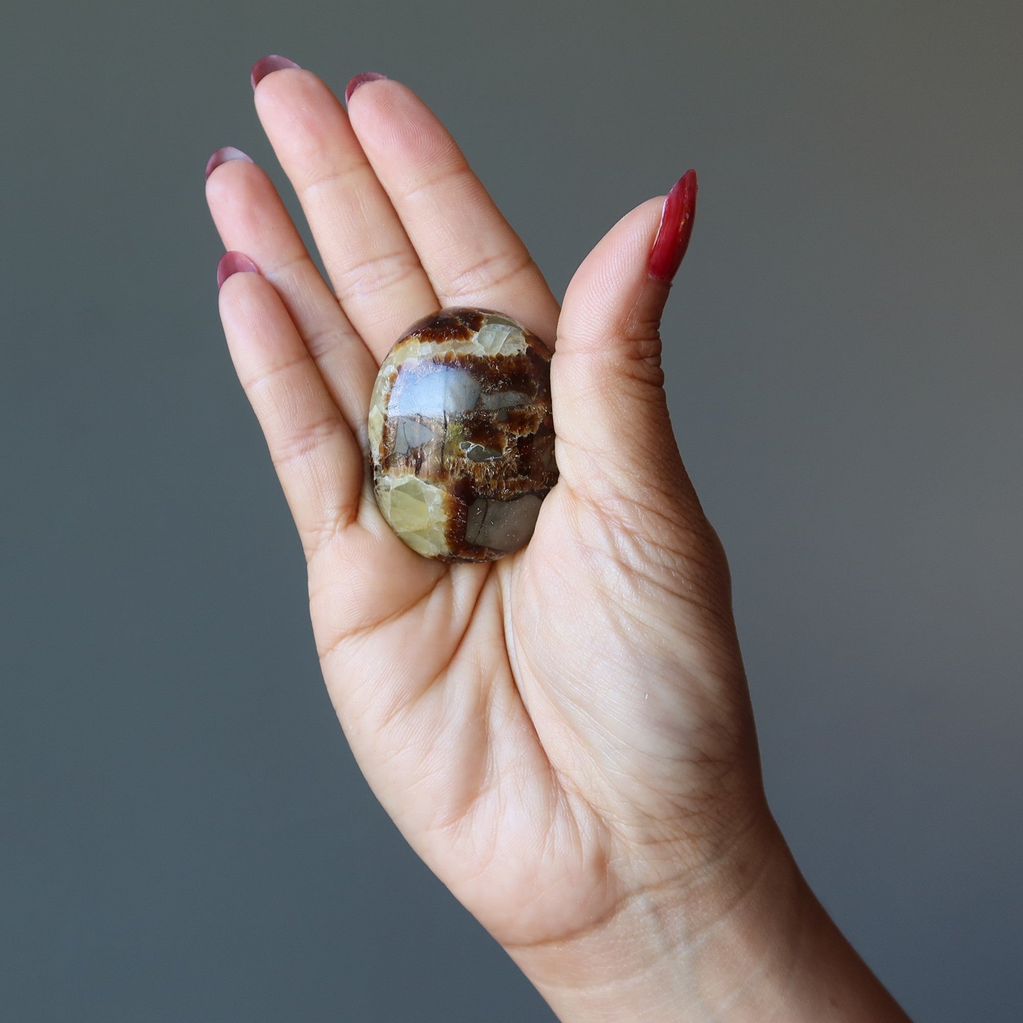 Septarian Palm Stone Bundle Dragon Protection Set of 5