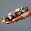 Septarian Palm Stone Bundle Dragon Protection Set of 5