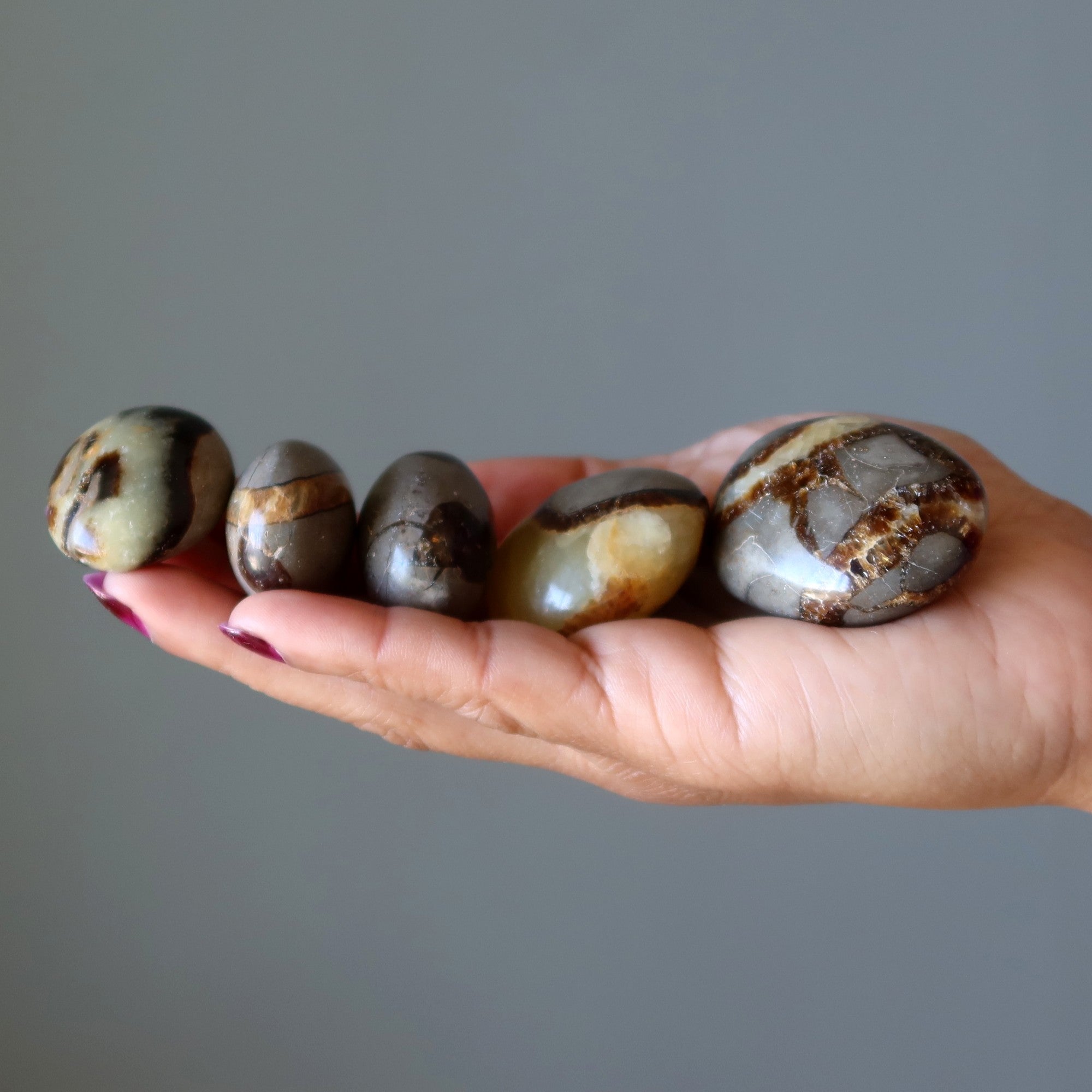 Septarian Palm Stone Bundle Dragon Protection Set of 5