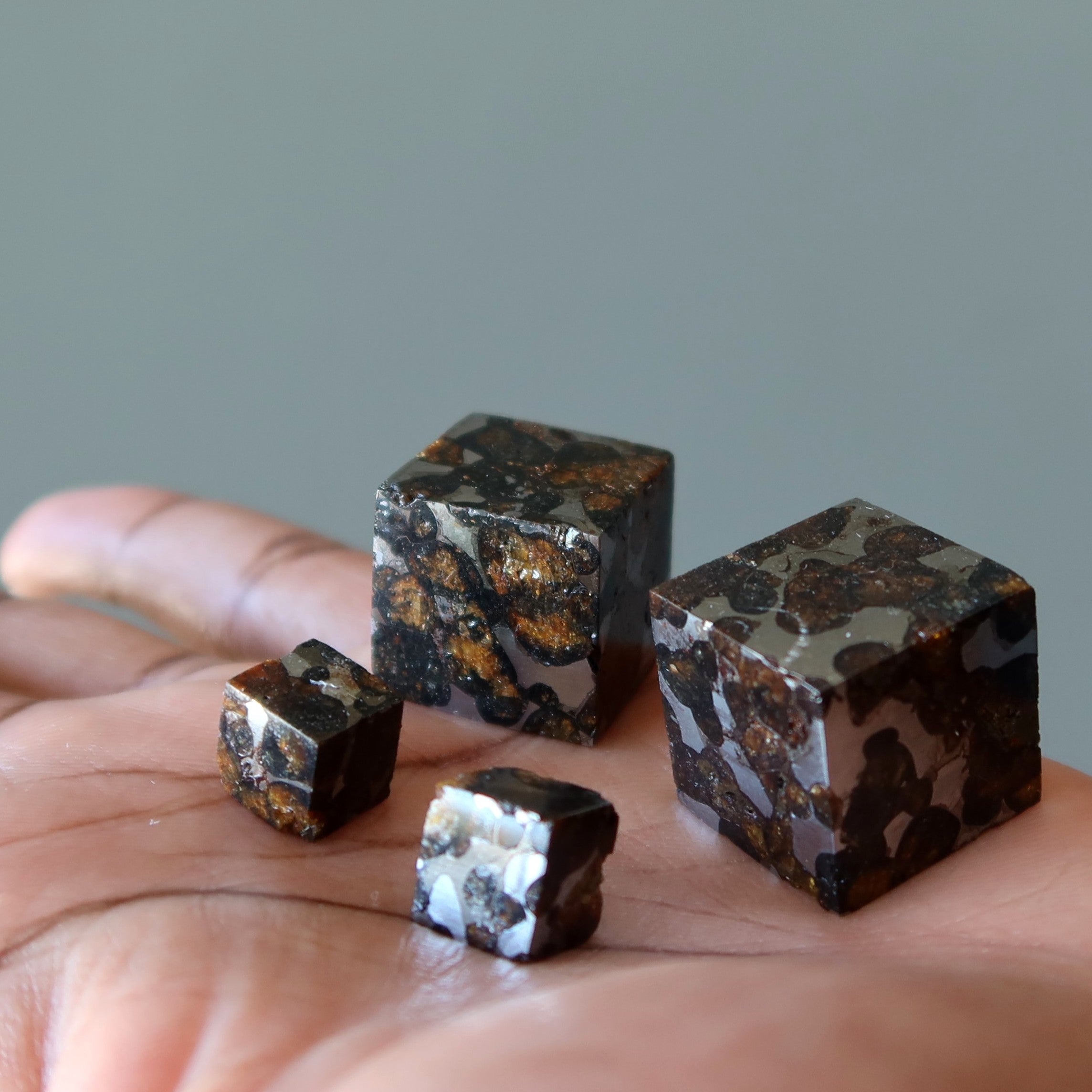 Sericho Meteorit Würfel Weltraumseele Entdeckung Pallasit