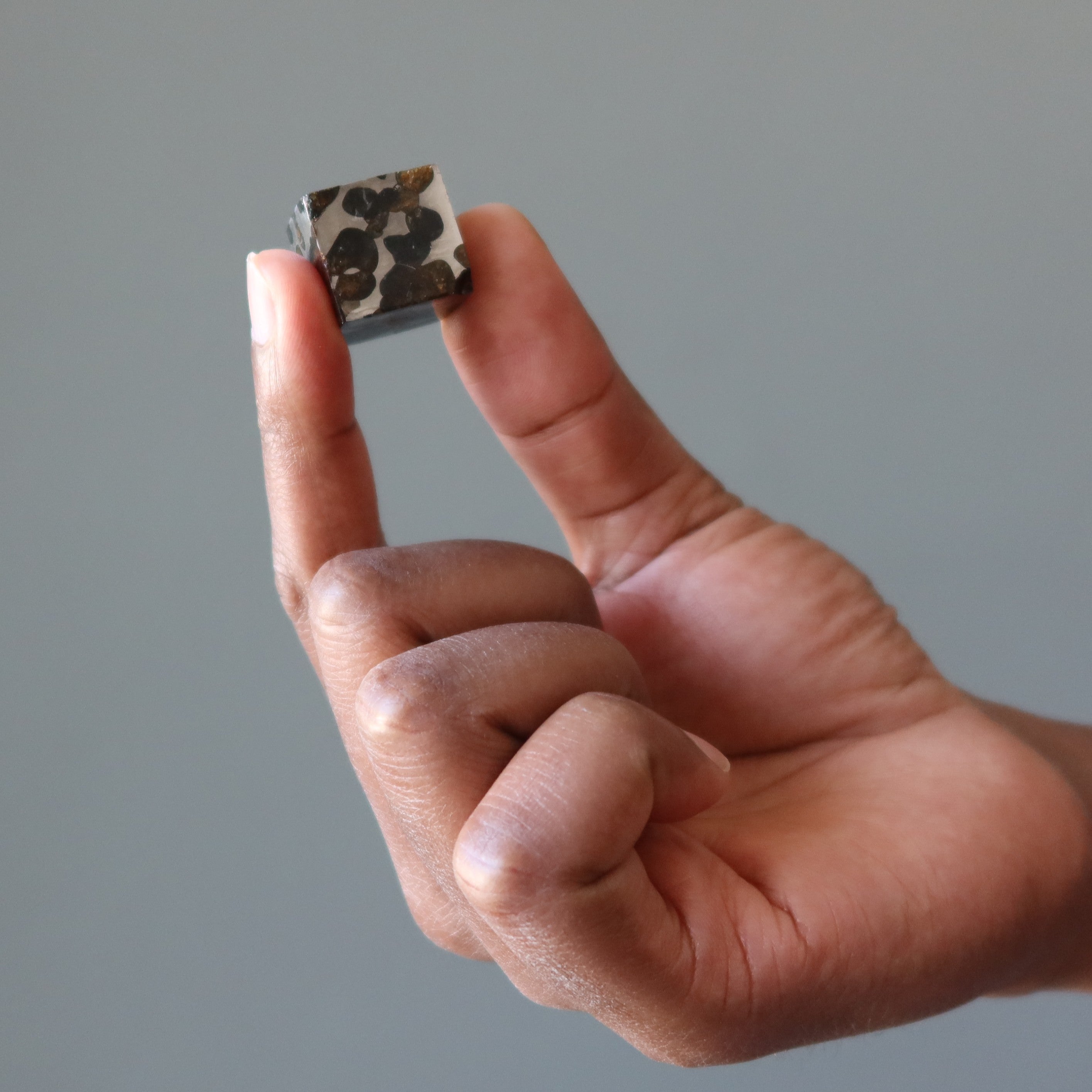 Sericho Meteorit Würfel Weltraumseele Entdeckung Pallasit