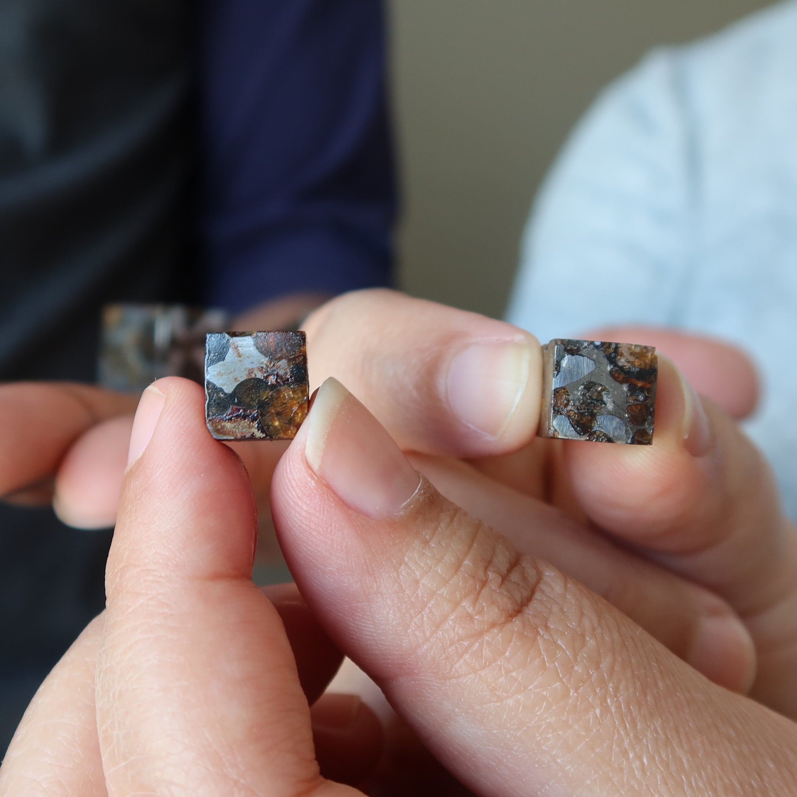 Sericho Meteorit Würfel Weltraumseele Entdeckung Pallasit