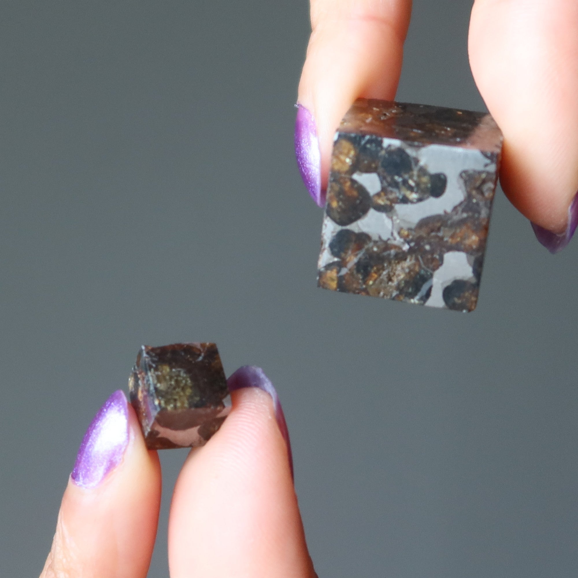 Sericho Meteorit Würfel Weltraumseele Entdeckung Pallasit