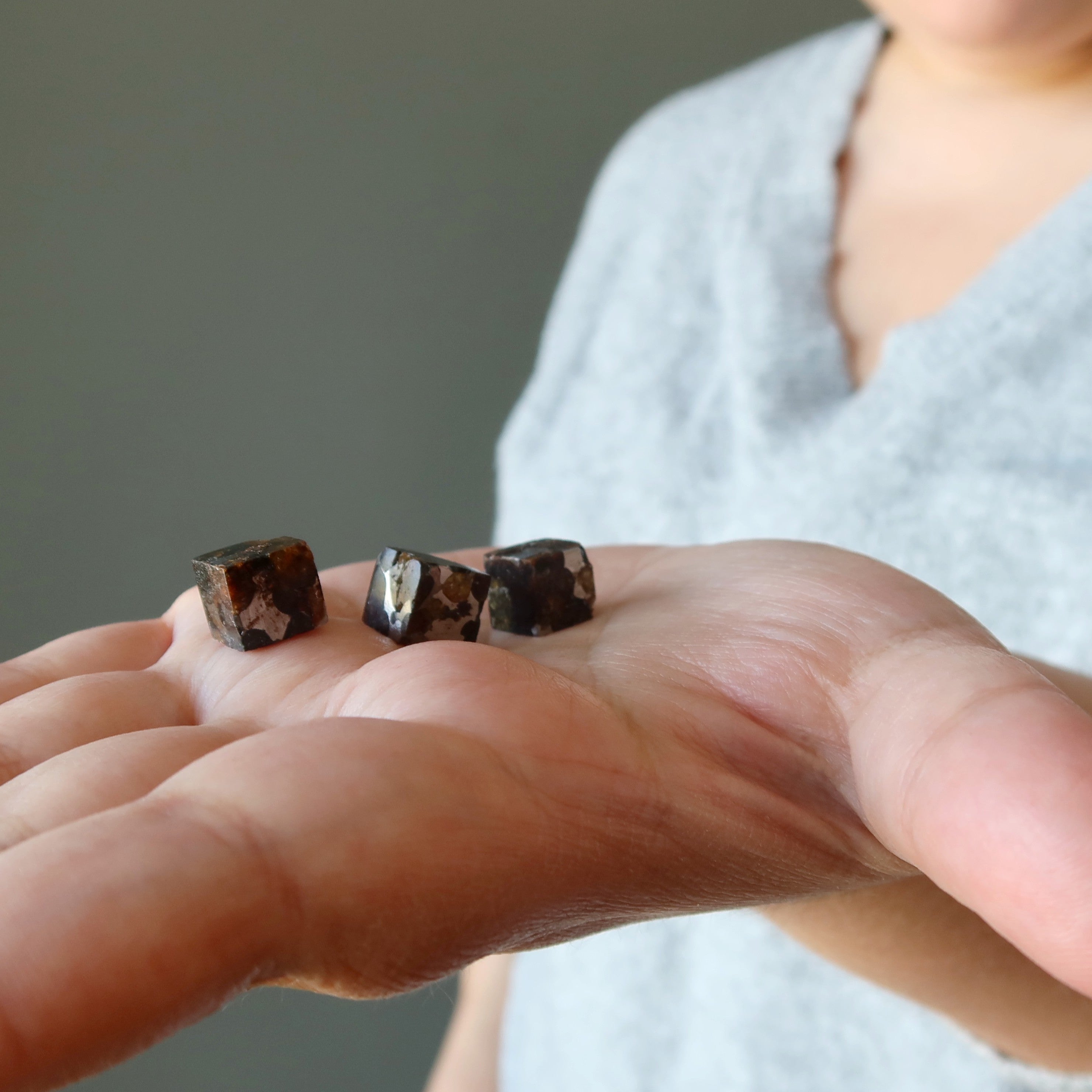 Sericho Meteorit Würfel Weltraumseele Entdeckung Pallasit