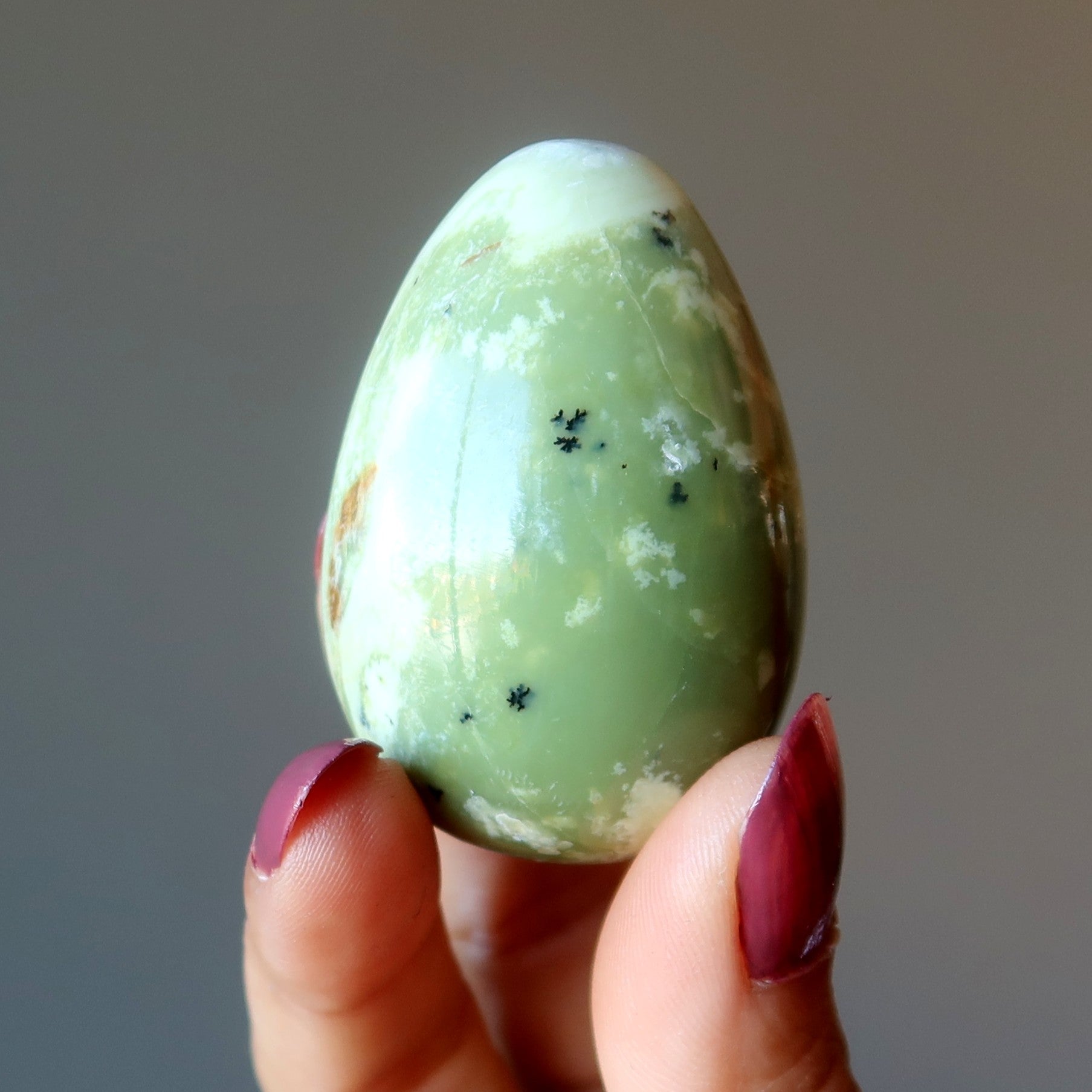 Schlangen-Ei Frühlingsgrün Erste Blüten Pflanzen Kiefern Kristall