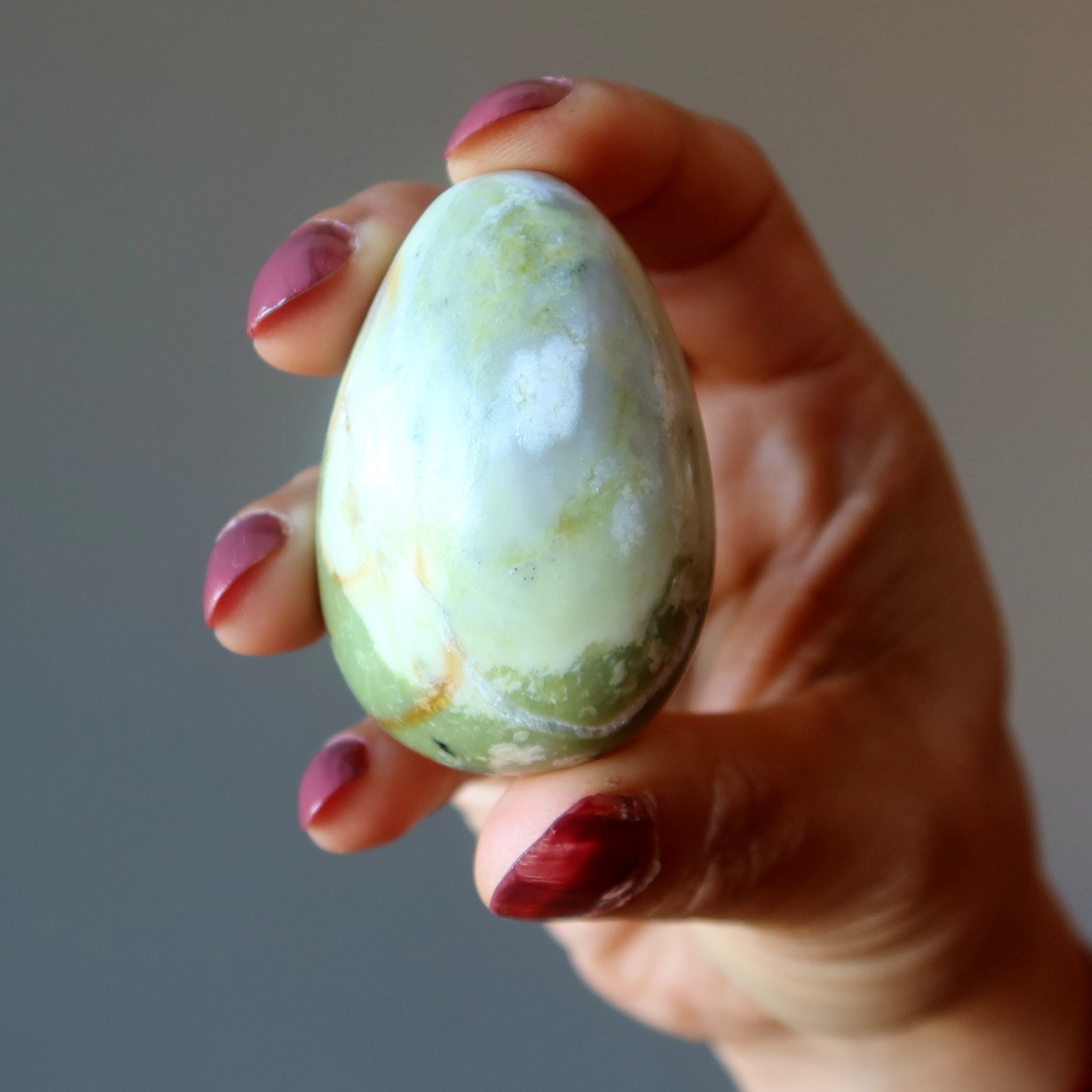 Schlangen-Ei Frühlingsgrün Erste Blüten Pflanzen Kiefern Kristall