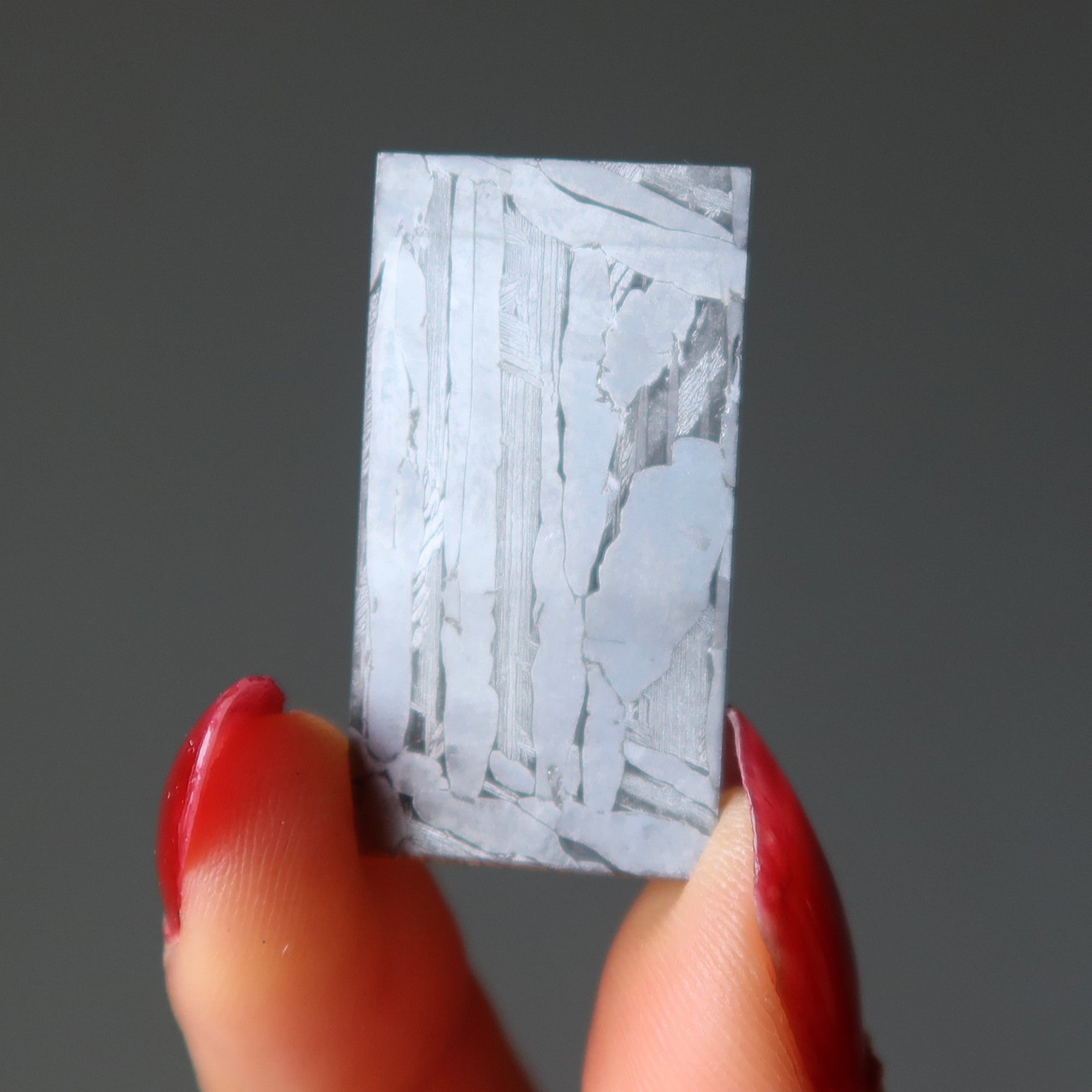 Seymchan Meteorite Silver Pallasite Doorway to Space