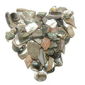 Shell Bundle Creativity Crafting Healing Crystal Energy Sea Set