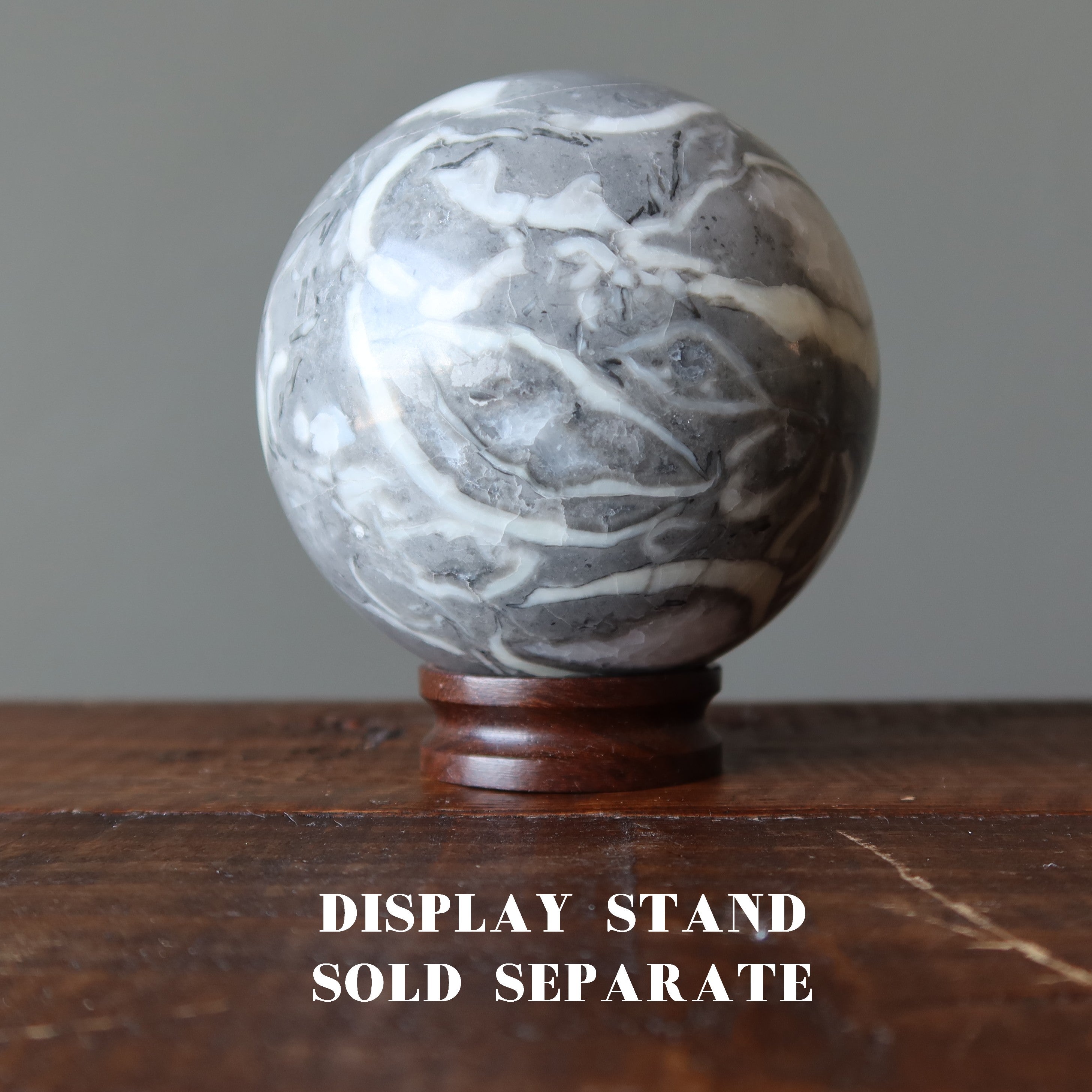Brachiopod Fossil Sphere Ancient Gray Shell Limestone Crystal Ball