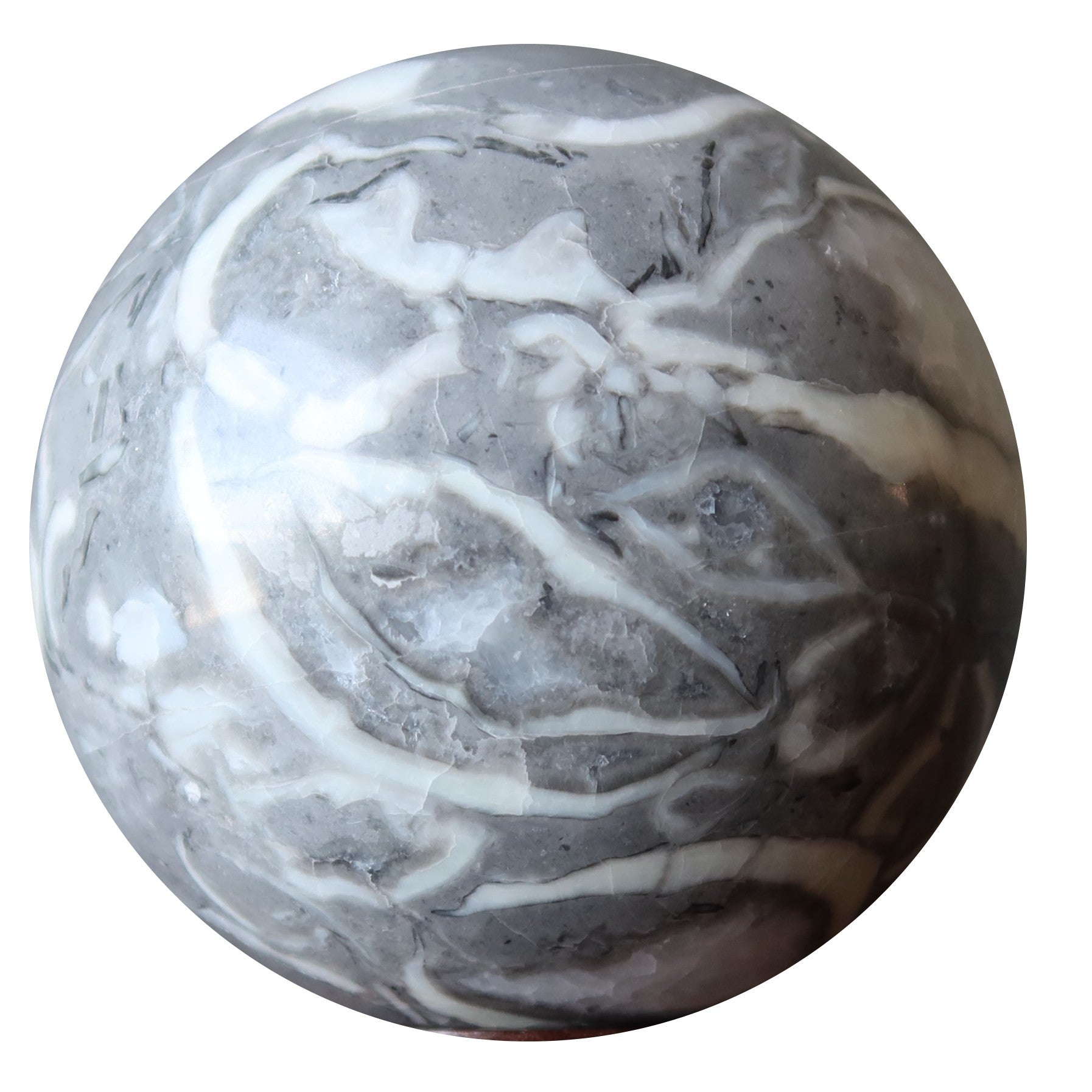 Brachiopod Fossil Sphere Ancient Gray Shell Limestone Crystal Ball